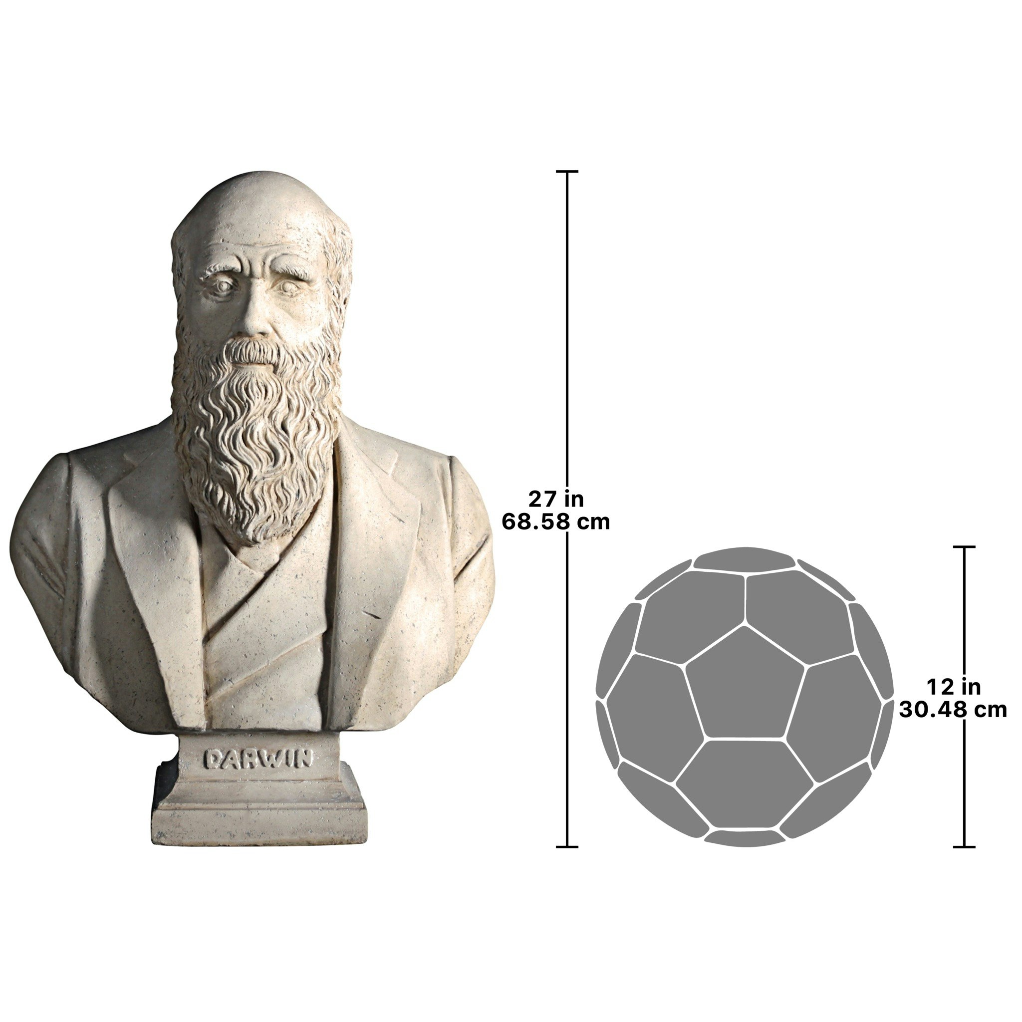 Toscano - Evolution of Charles Darwin Sculptural Bust