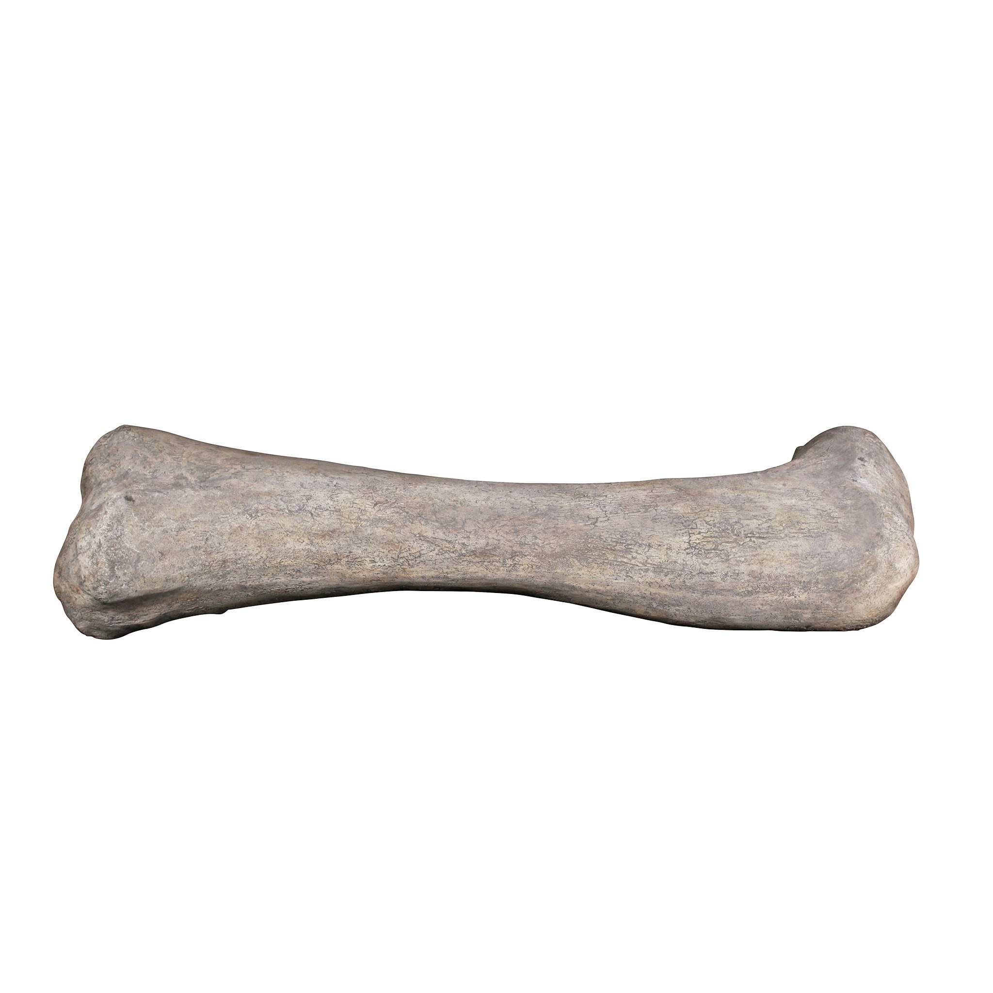 Toscano - Apatosaurus Femur Bone Fossil Statue