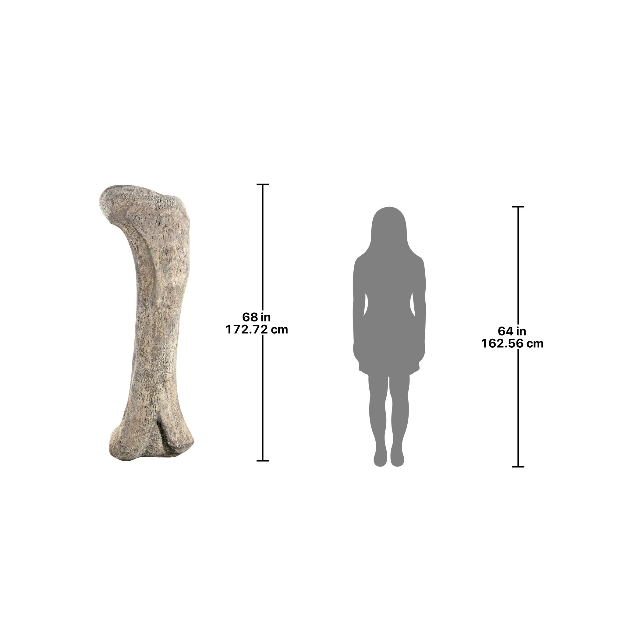 Toscano - Apatosaurus Femur Bone Fossil Statue