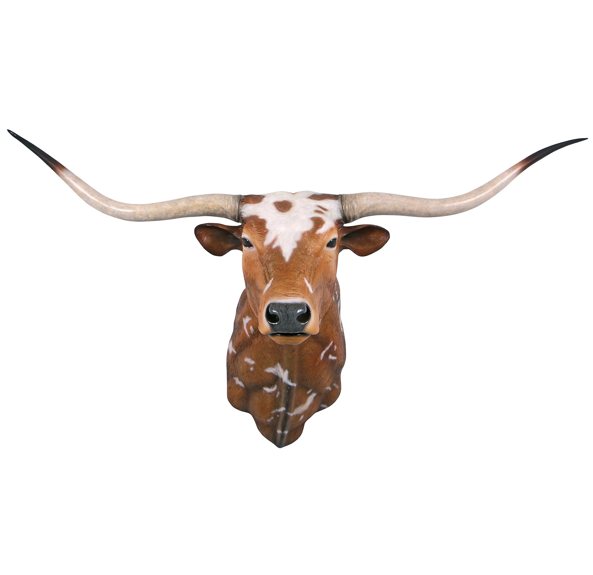 Toscano - Texas Longhorn Bull Sculptural Wall Trophy