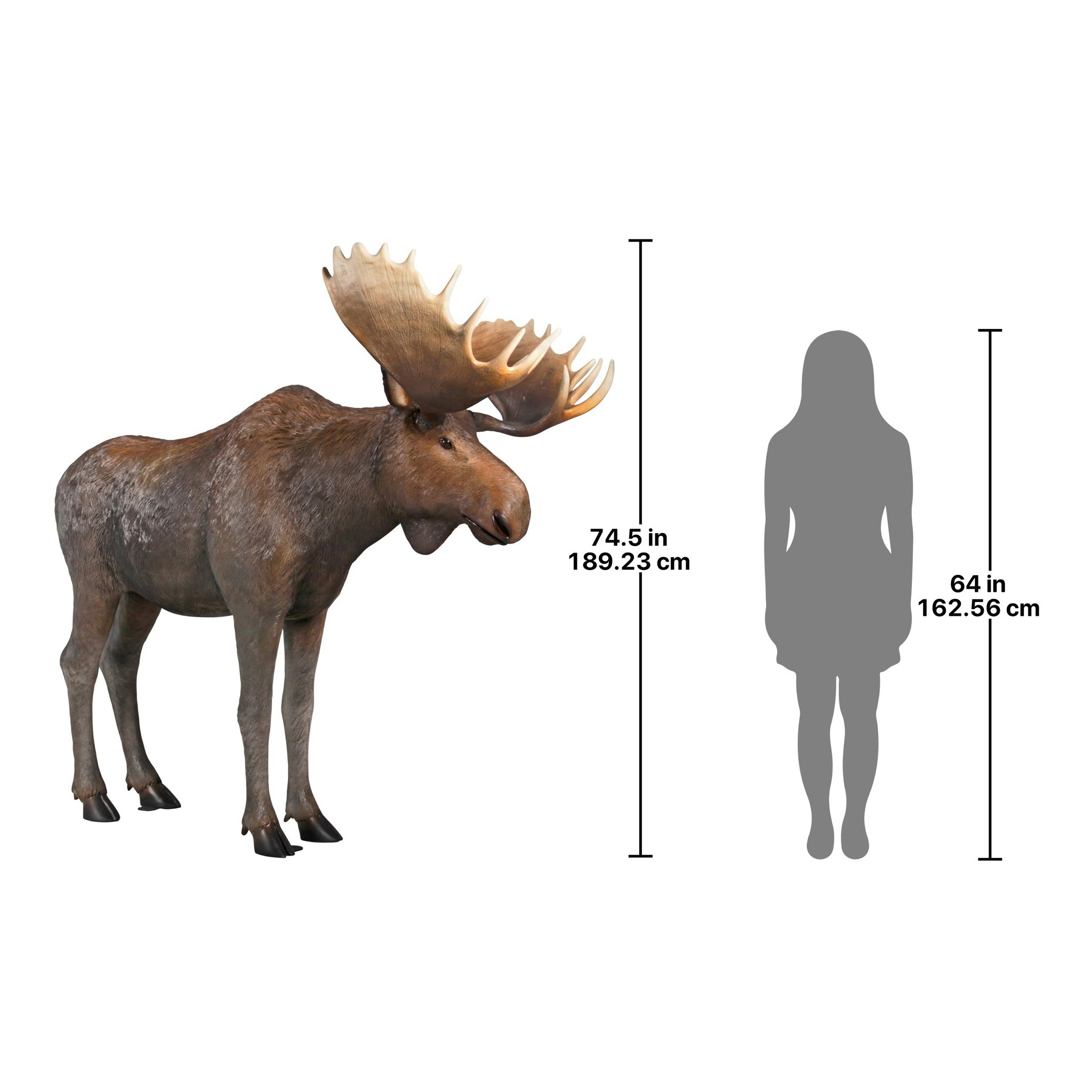 Toscano - North American Majestic Moose Full Scale Animal Statue