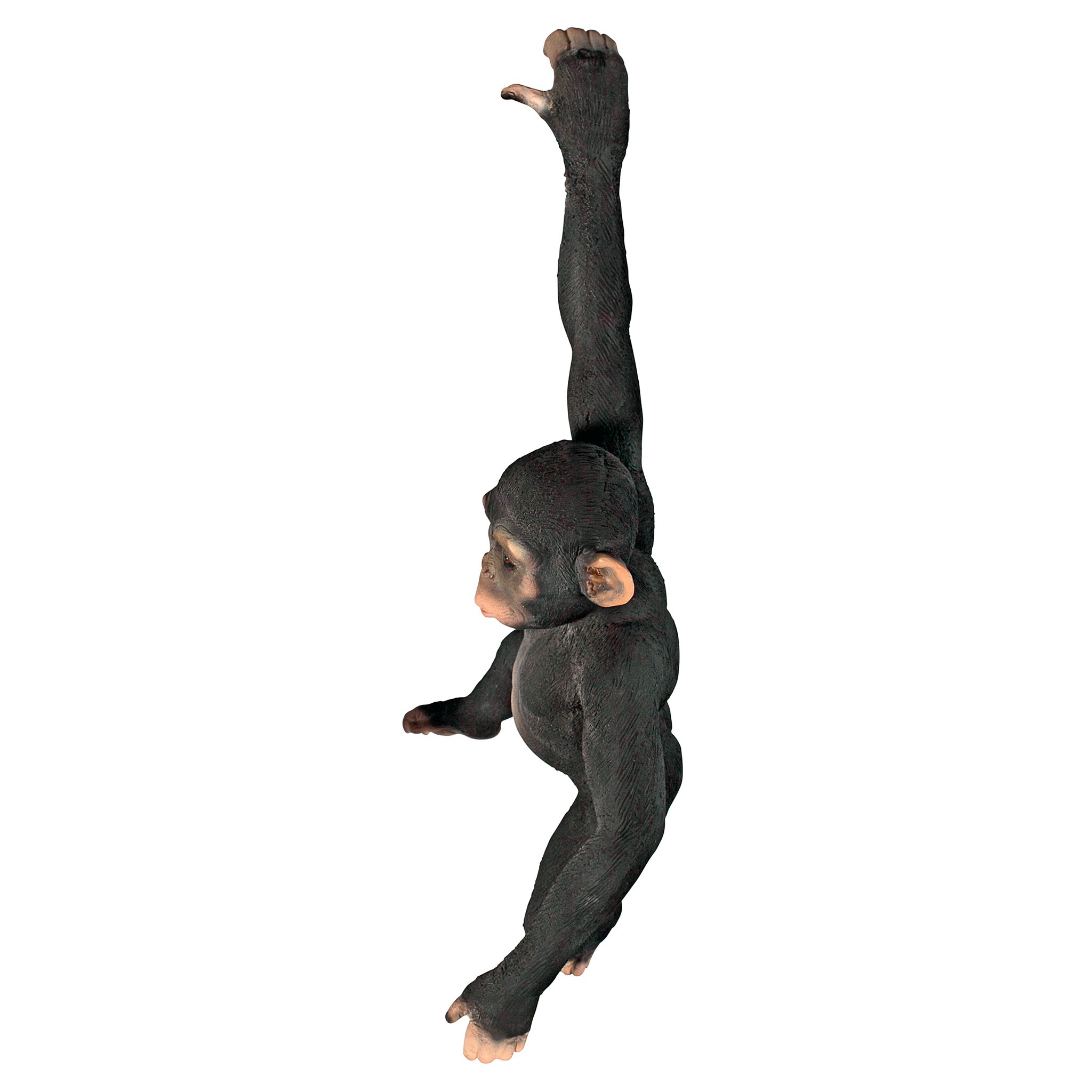 Toscano - Hanging Chimp Jungle Monkey Statue