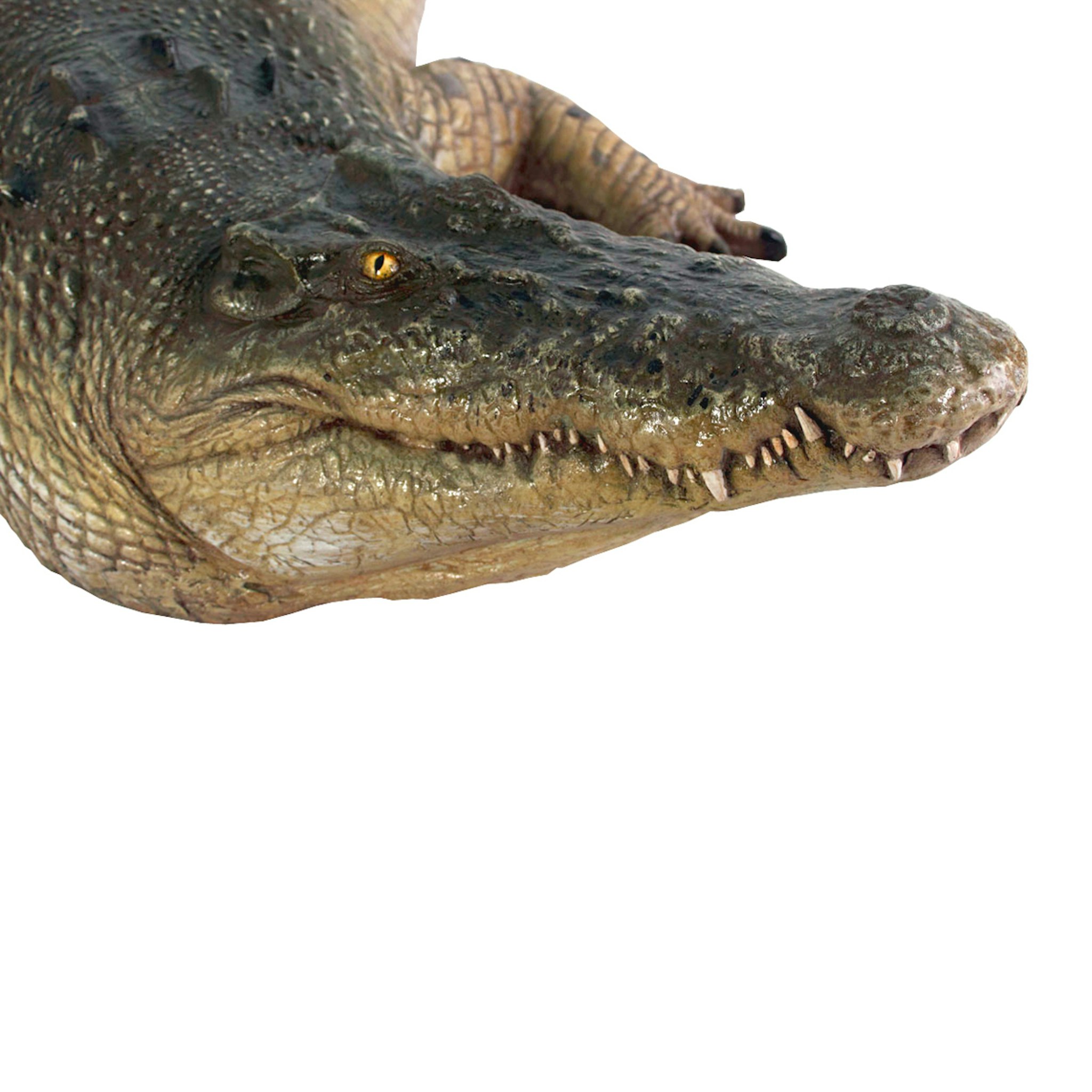 Toscano - Tropical Wetlands Crocodile Statue