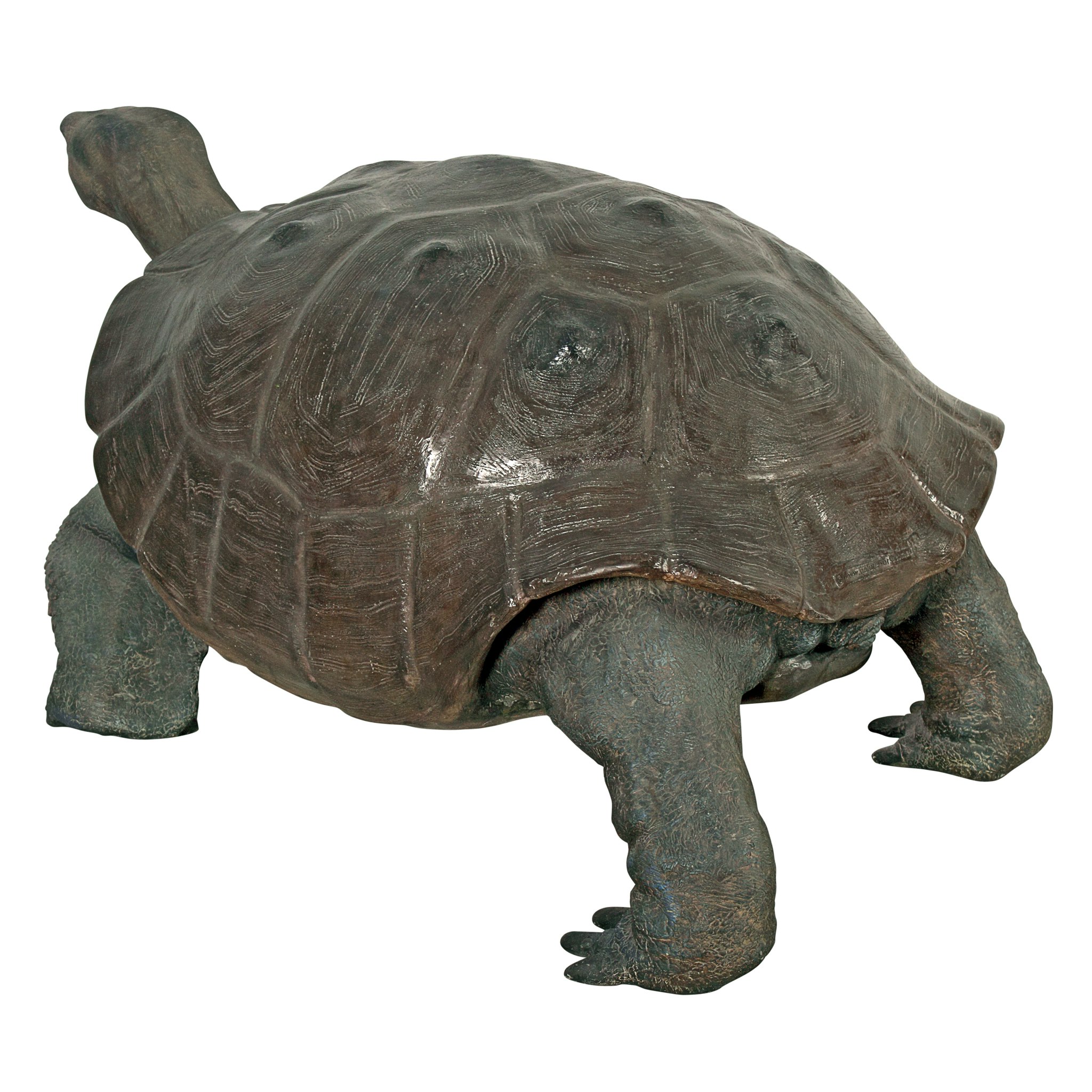 Toscano - The Galapagos Tortoise Grand-Scale Turtle Statue