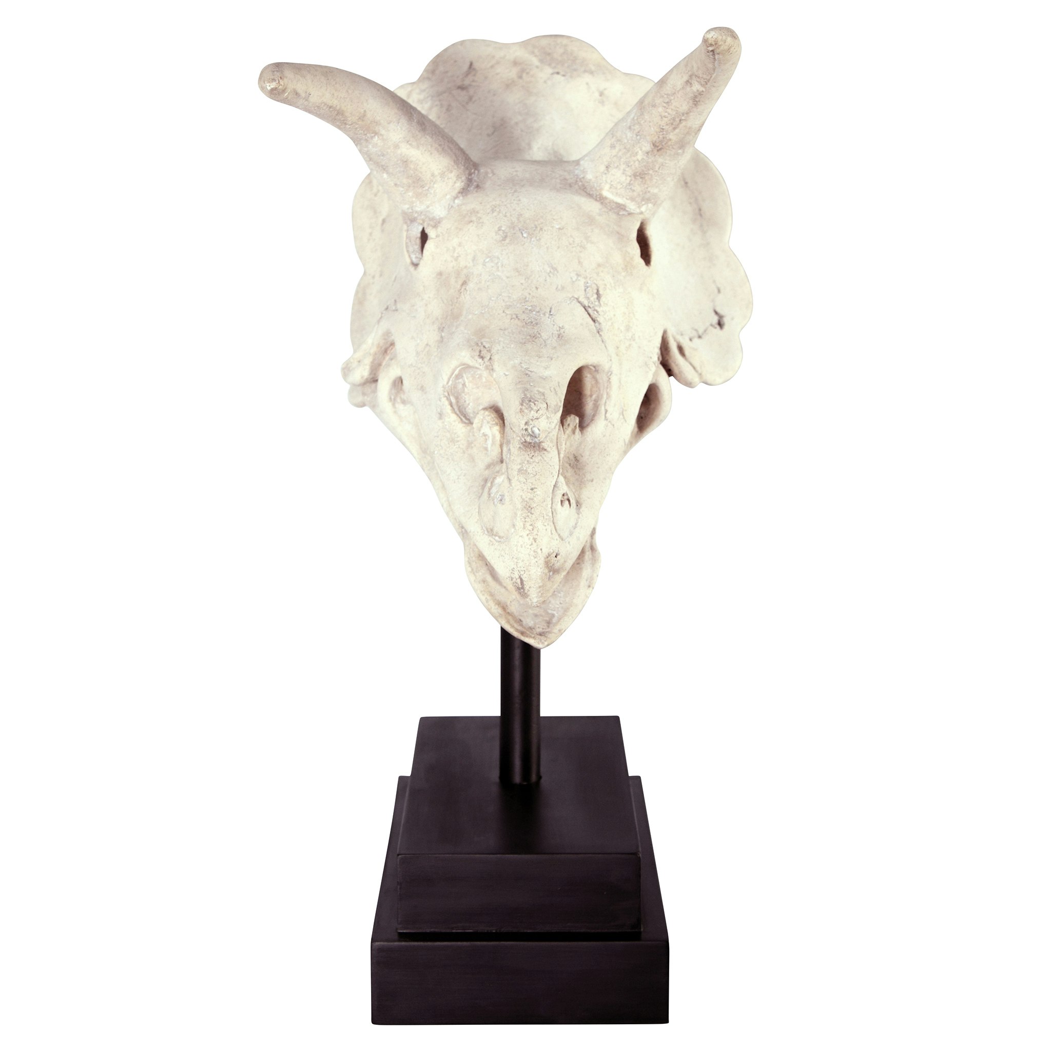 Toscano - Triceratops Dinosaur Skull Fossil Statue on Museum Mount
