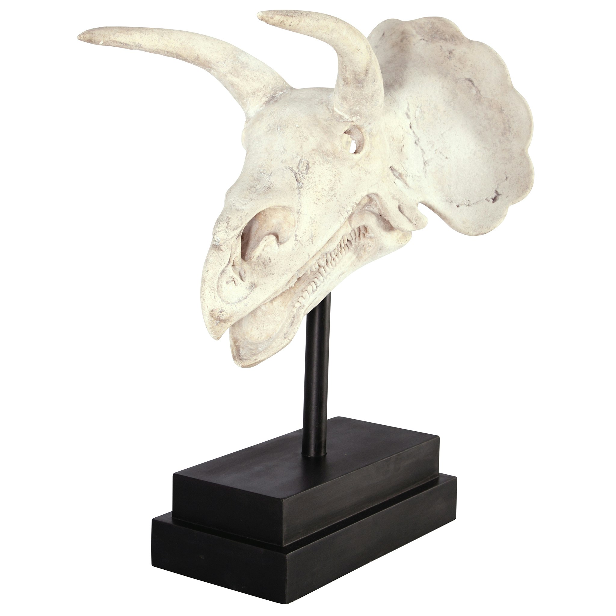 Toscano - Triceratops Dinosaur Skull Fossil Statue on Museum Mount
