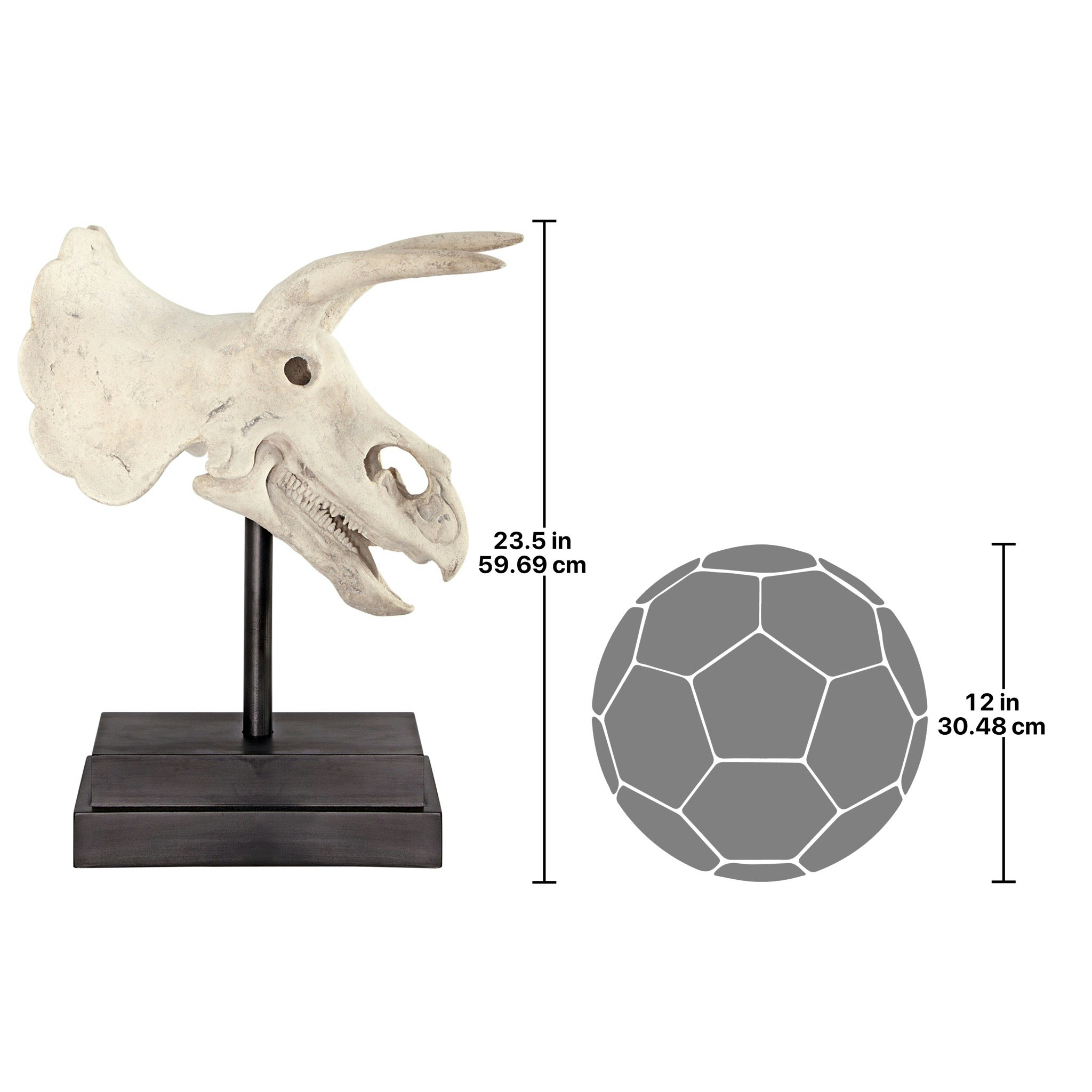 Toscano - Triceratops Dinosaur Skull Fossil Statue on Museum Mount