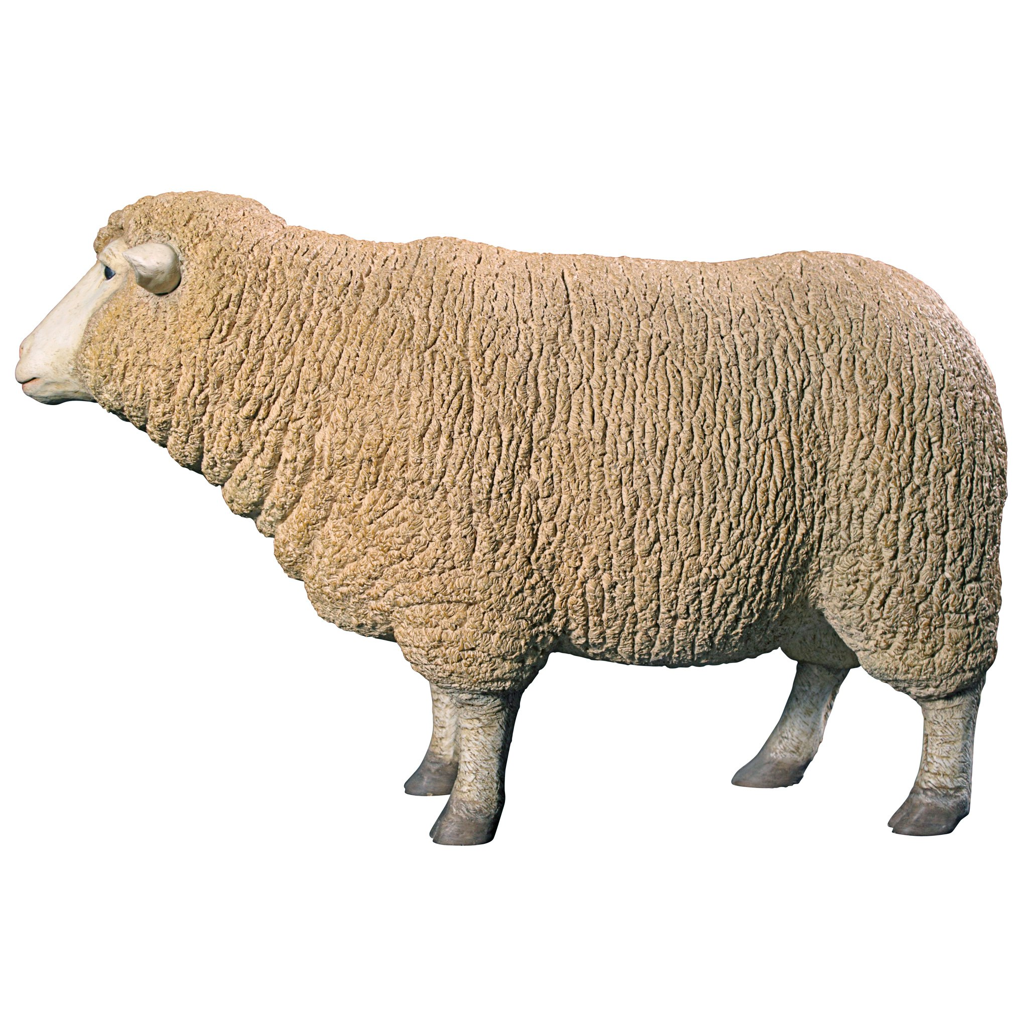 Toscano Merino Ewe Life-Size Sheep Statue - Head Up
