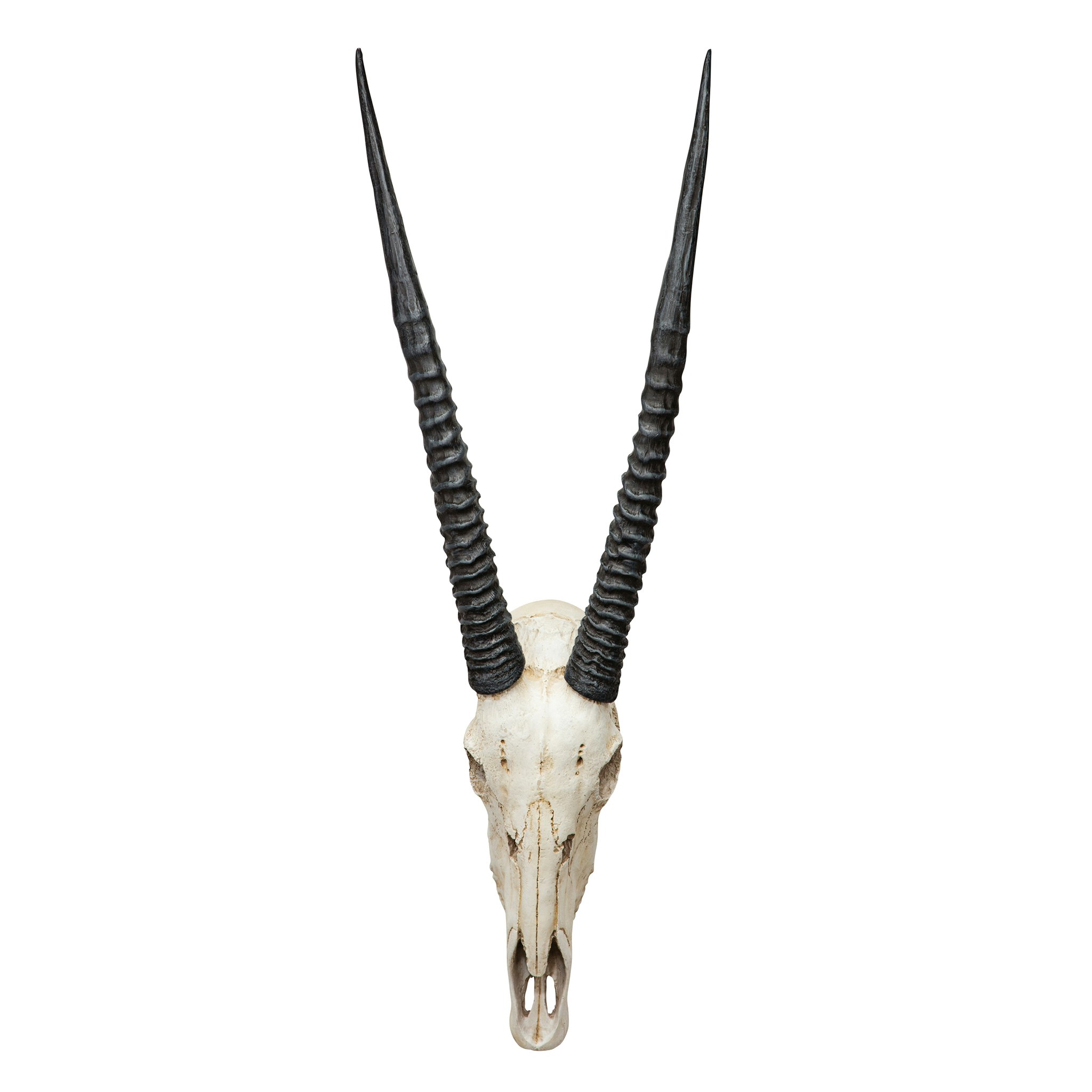 Toscano - Gemsbok African Wall Trophy
