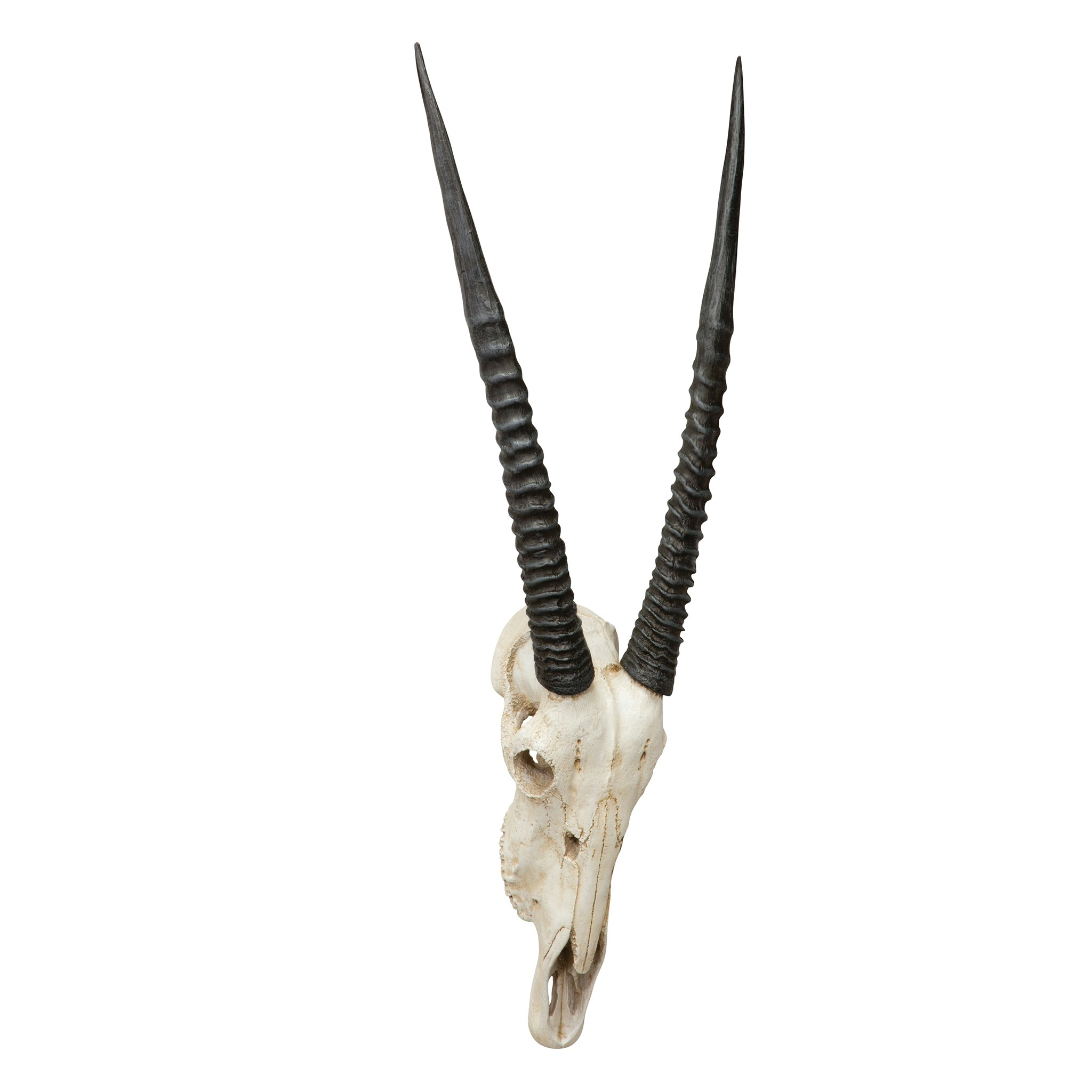 Toscano - Gemsbok African Wall Trophy