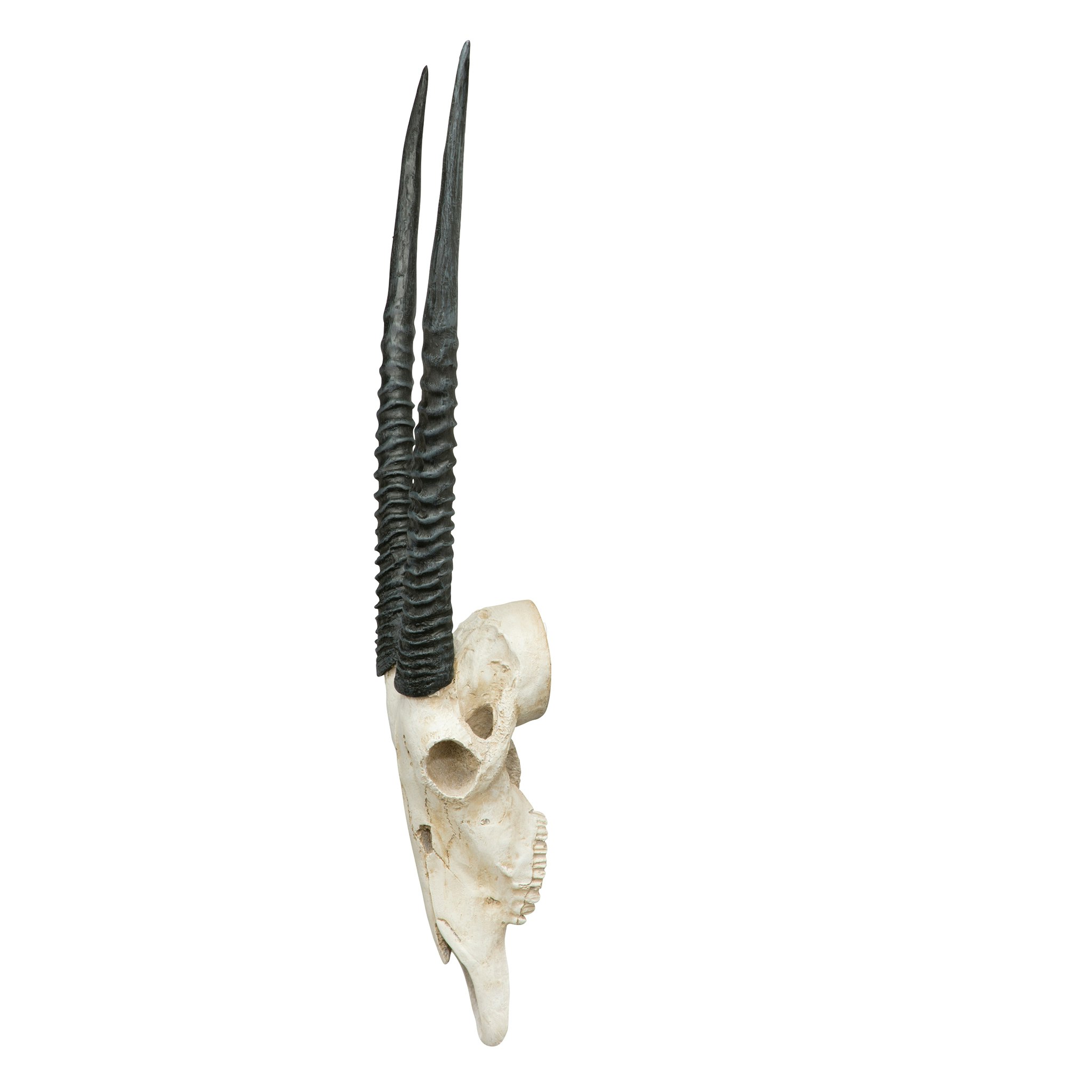 Toscano - Gemsbok African Wall Trophy