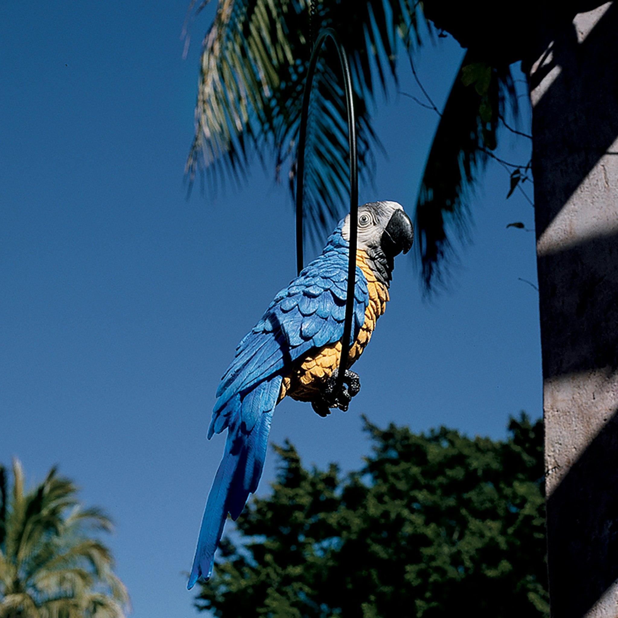 Toscano Polly in Paradise Parrot on Ring Perch - Large