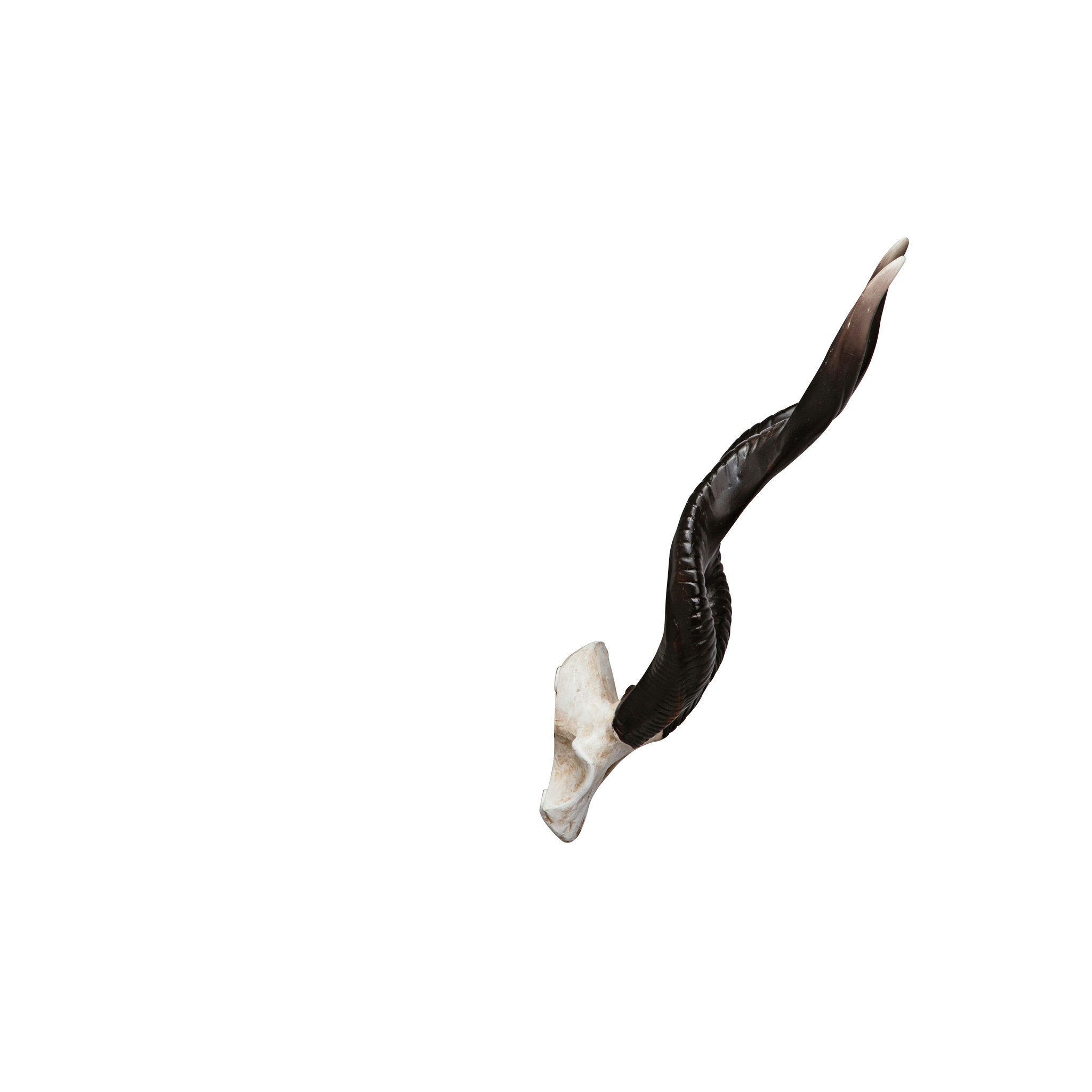 Toscano - Kudu African Wall Trophy