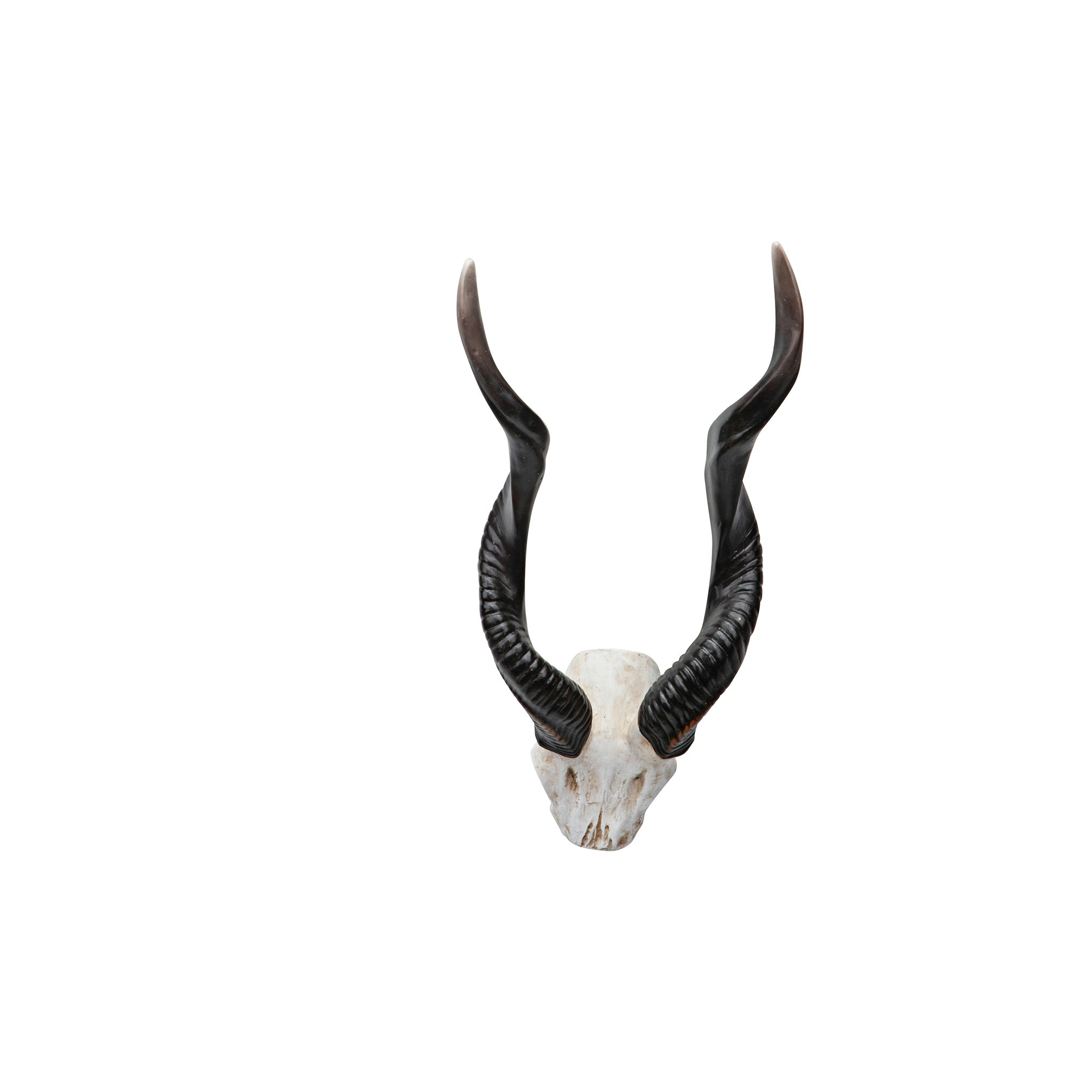 Toscano - Kudu African Wall Trophy