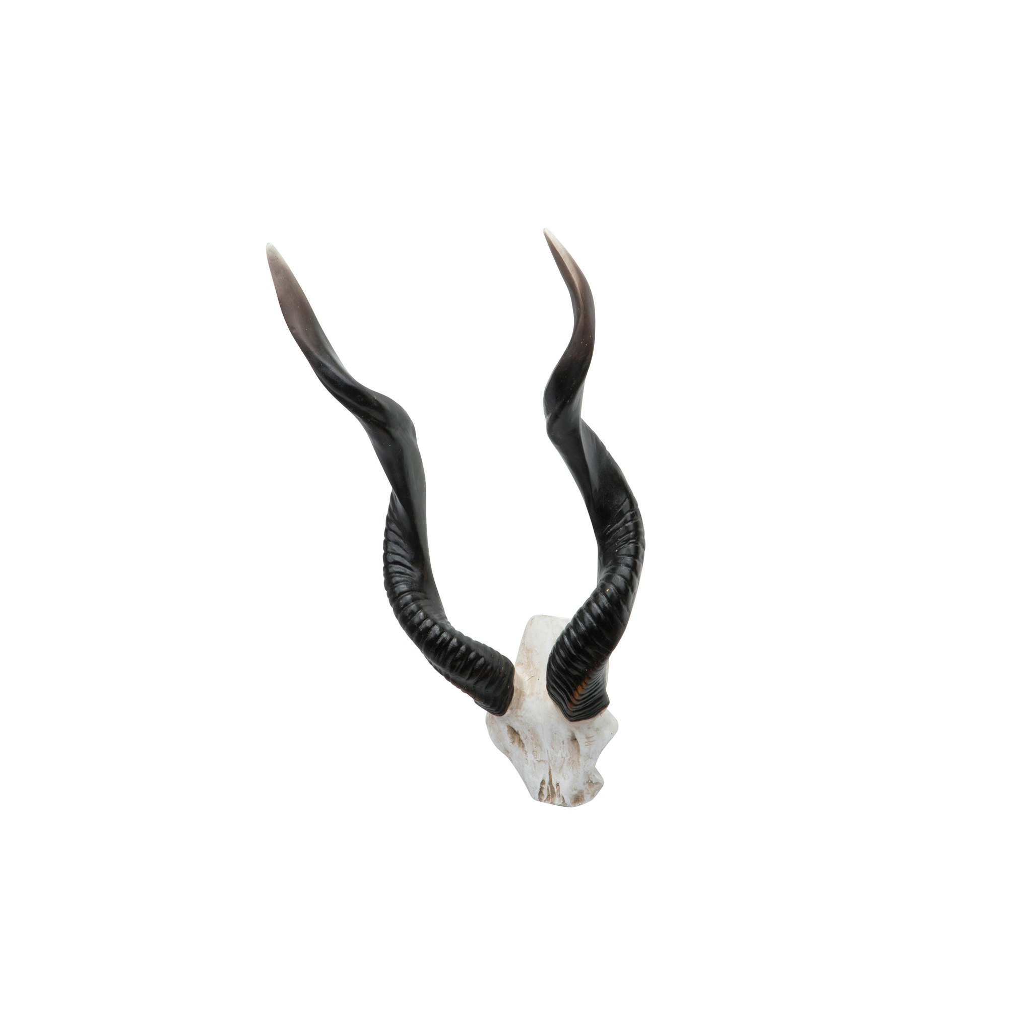 Toscano - Kudu African Wall Trophy