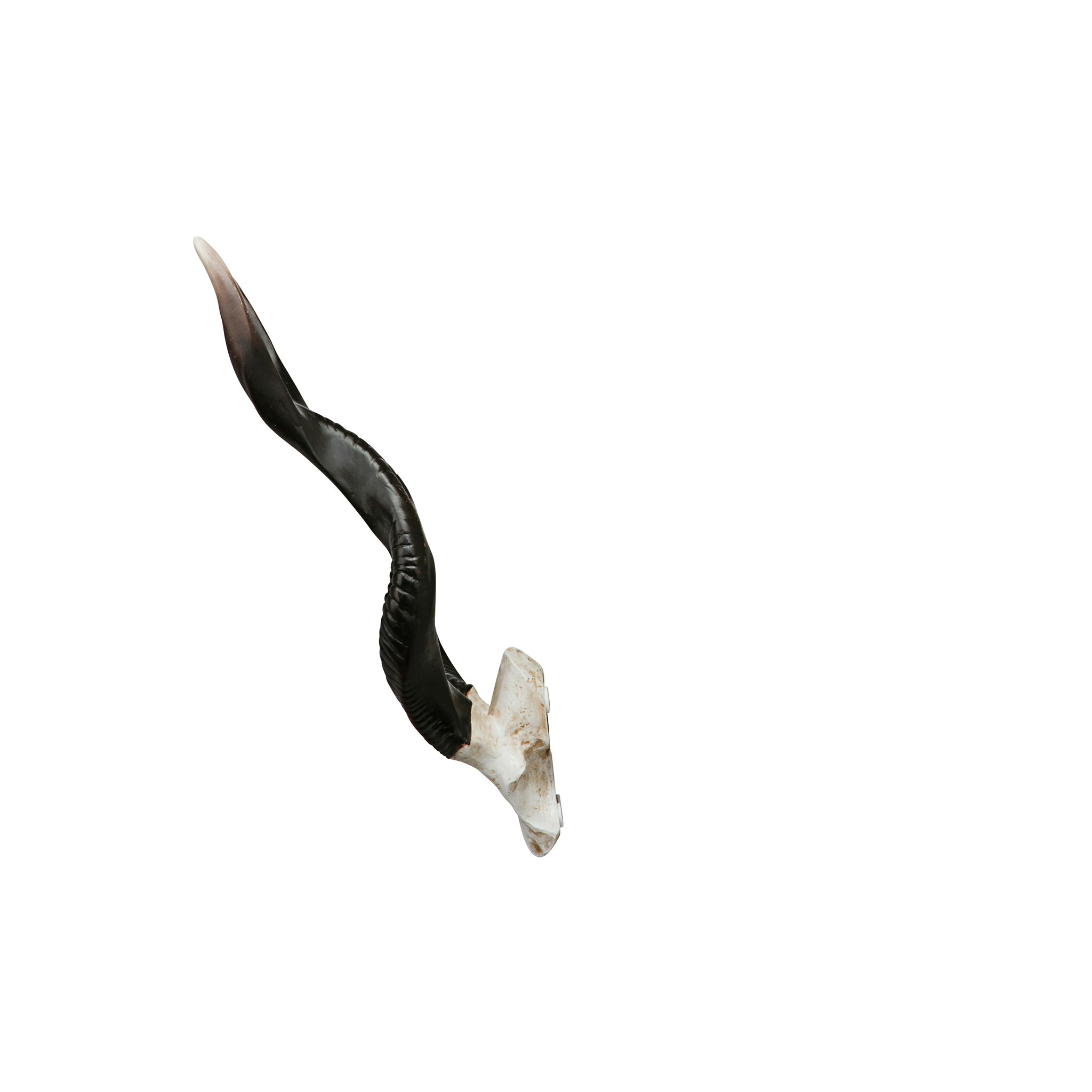 Toscano - Kudu African Wall Trophy