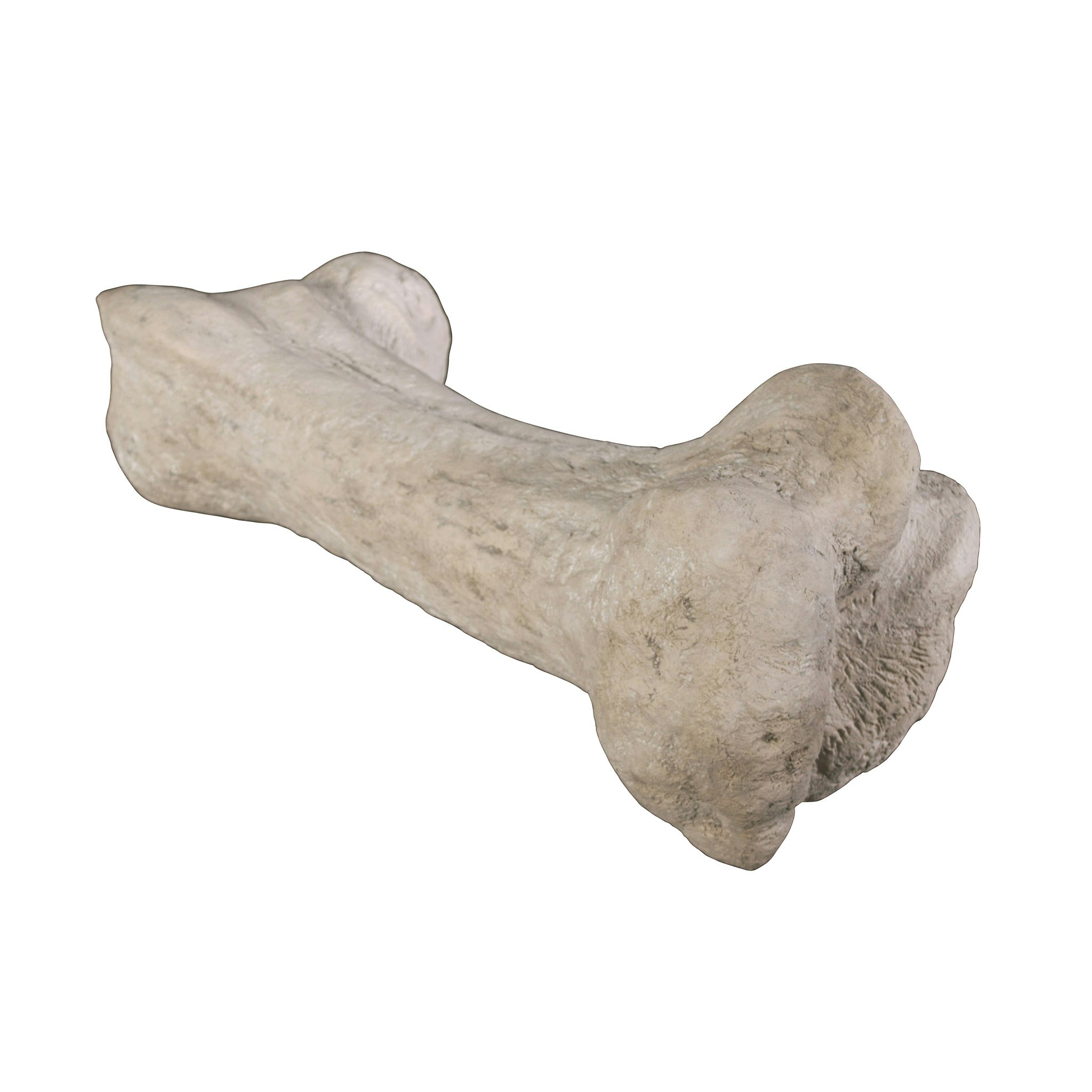 Toscano - Gigantic Dinosaur Bone Statue