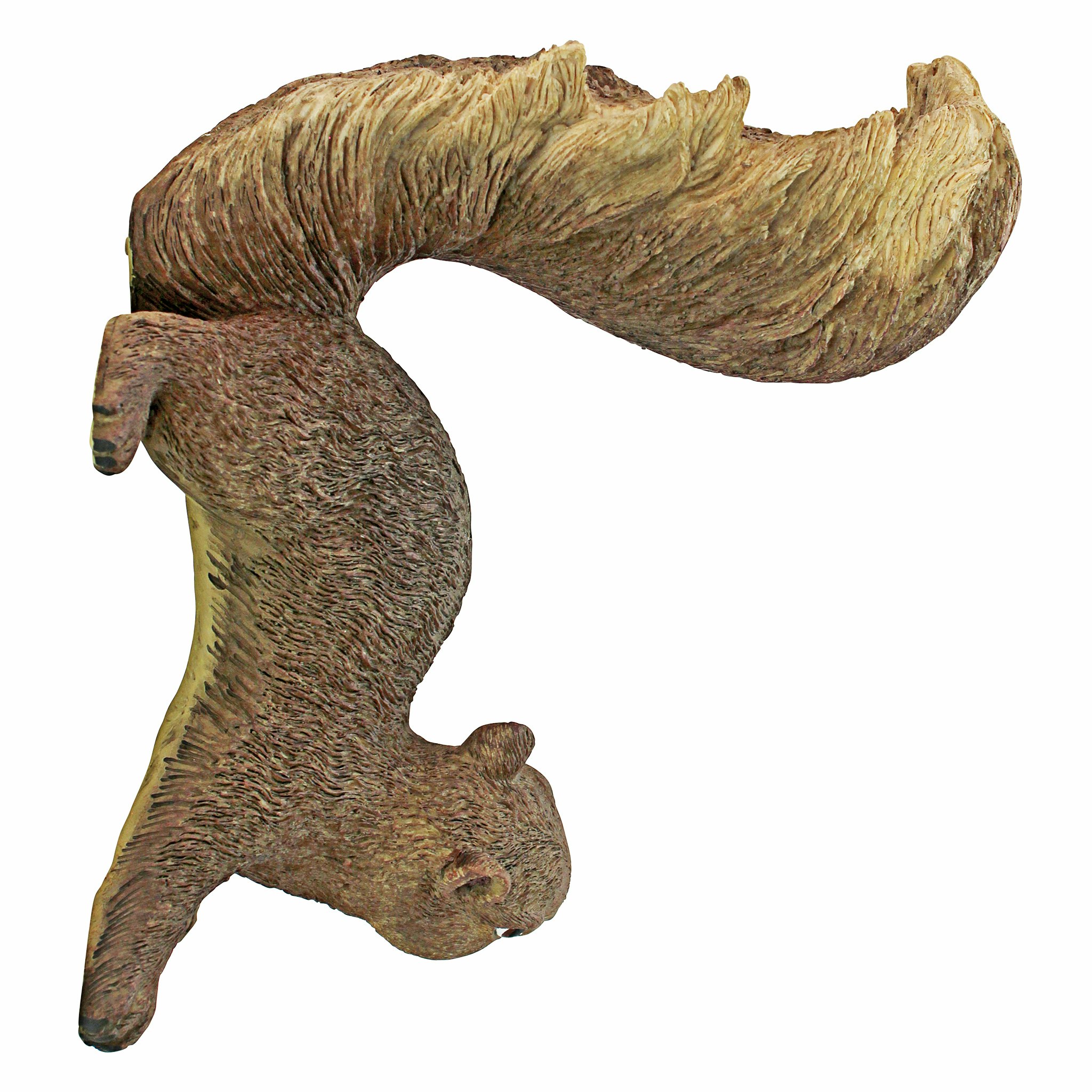 Toscano - Simone the Squirrel Hanging Statue