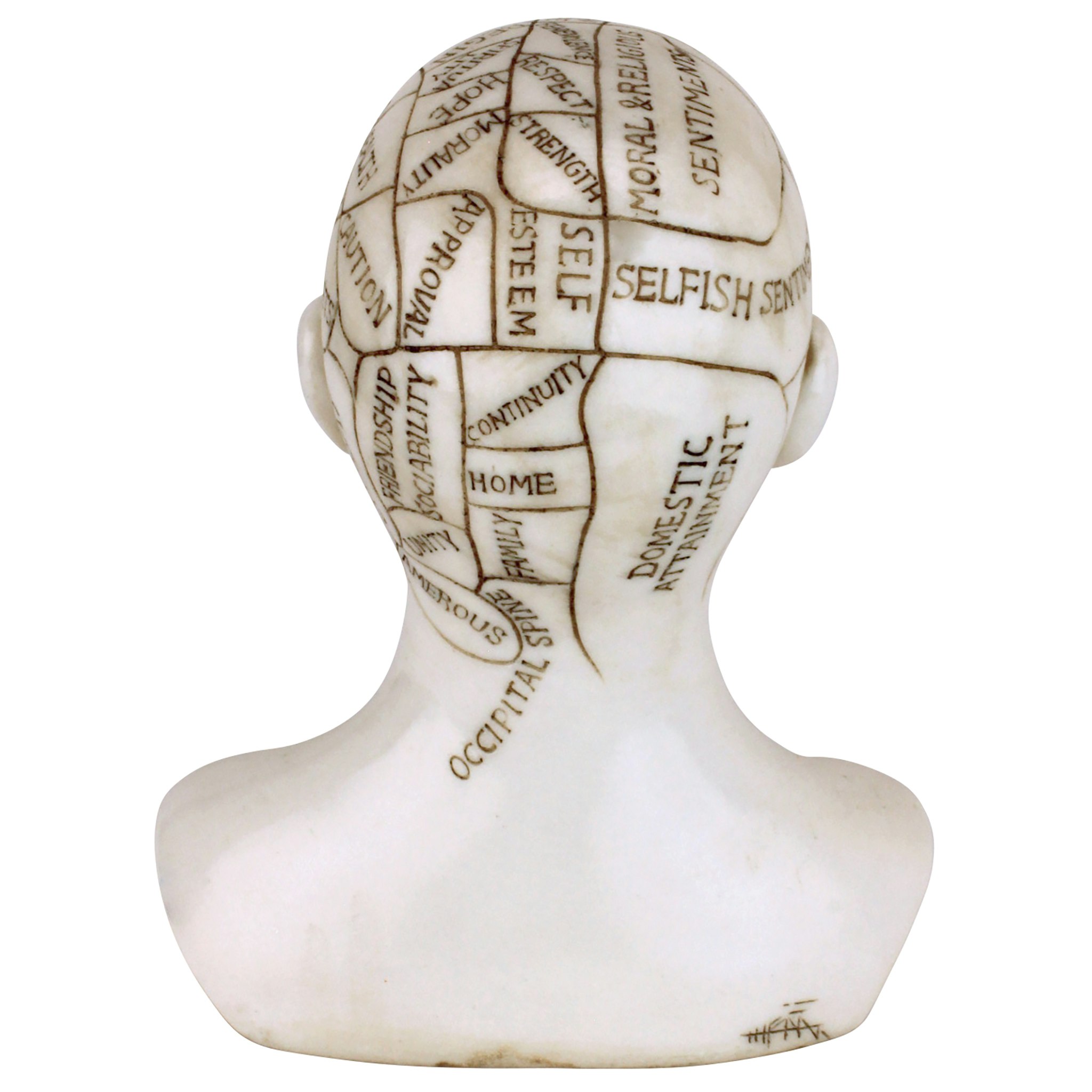 Toscano - Phrenology the Science of the Brain Victorian Replica Statue