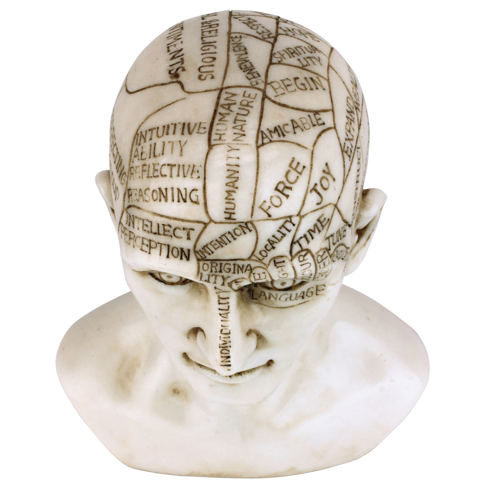 Toscano - Phrenology the Science of the Brain Victorian Replica Statue