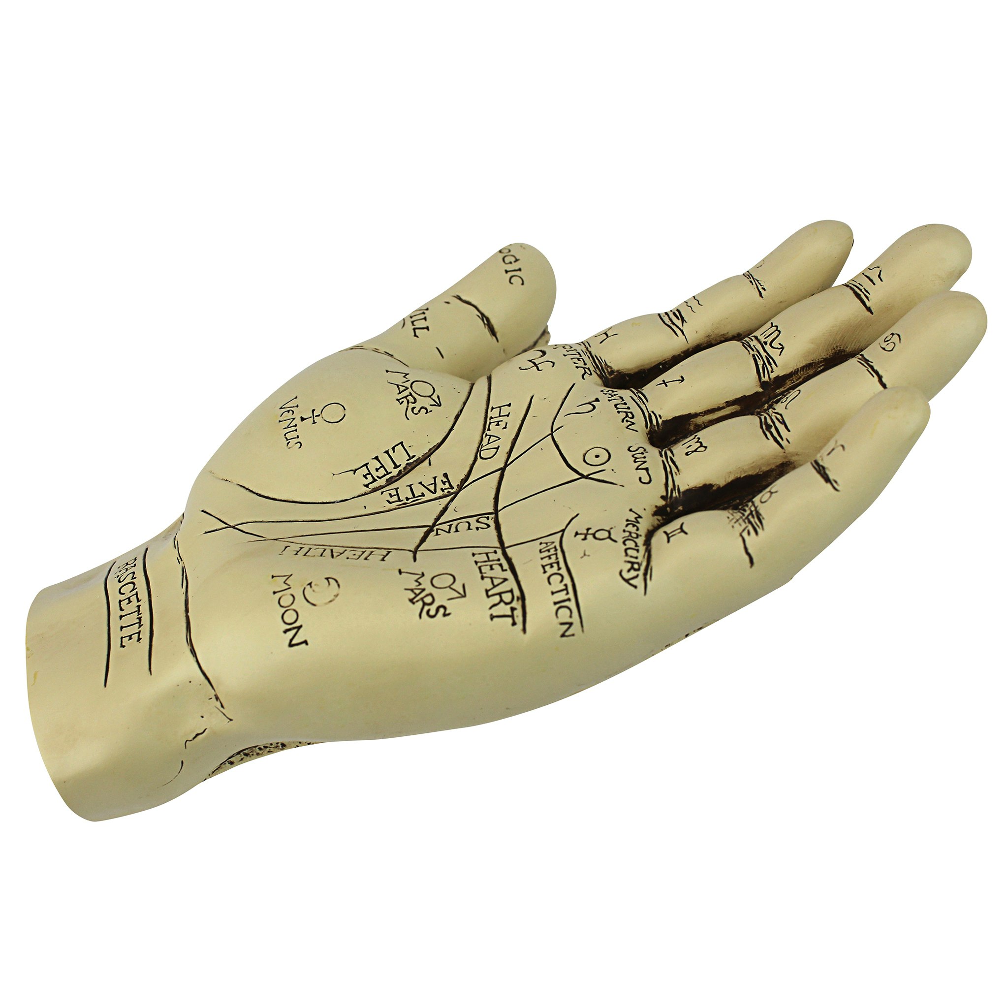 Toscano - The Palmistry Hand Statue