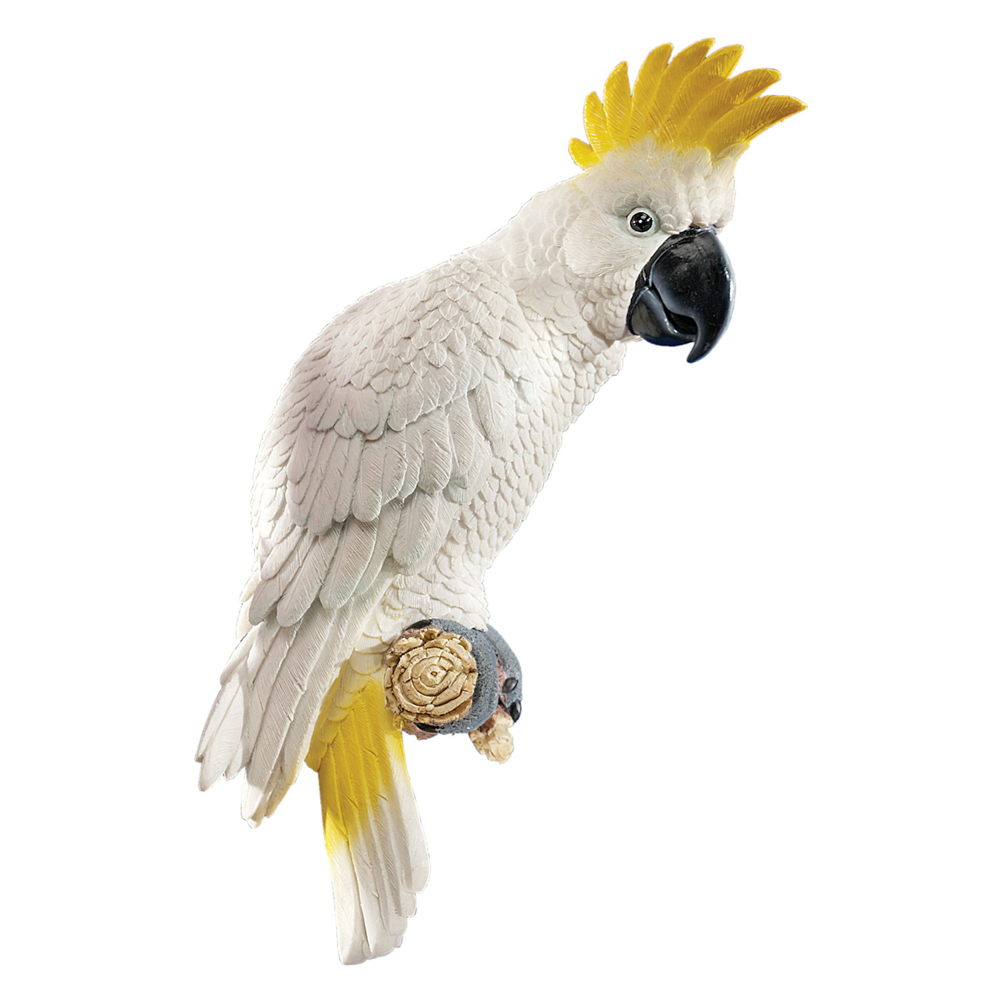 Toscano - Sulphur-Crested Cockatoo Tropical Bird Wall Sculpture