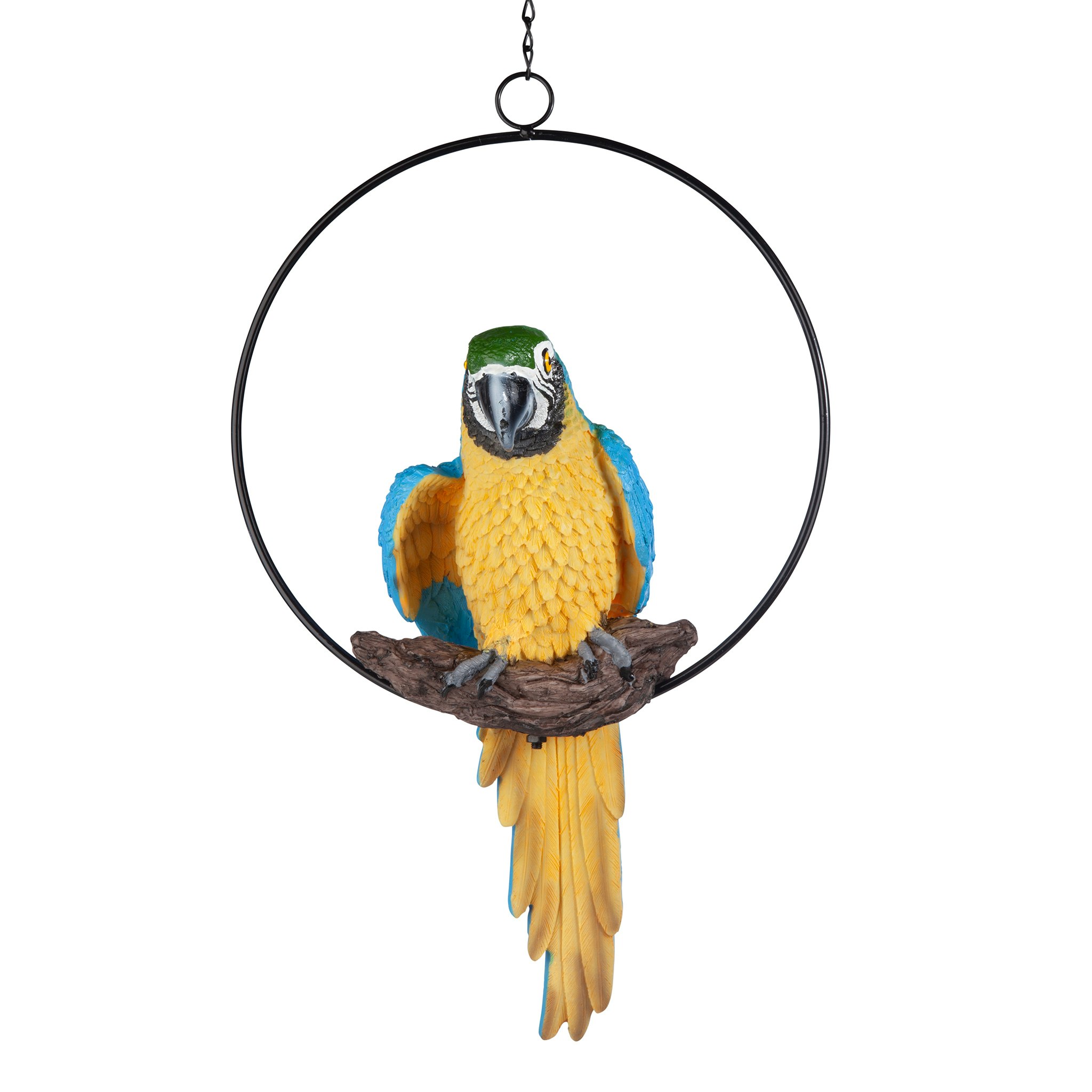 Toscano Polly in Paradise Parrot on Ring Perch - Medium
