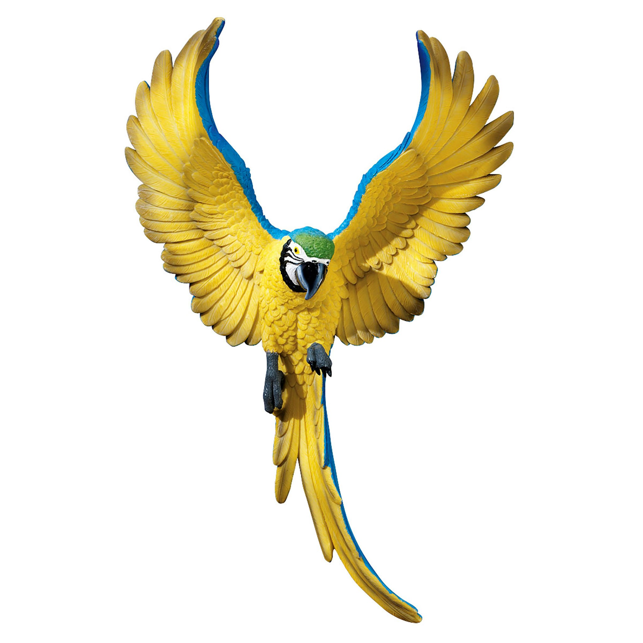 Toscano - Phineas the Flapping Macaw Bird Wall Sculpture