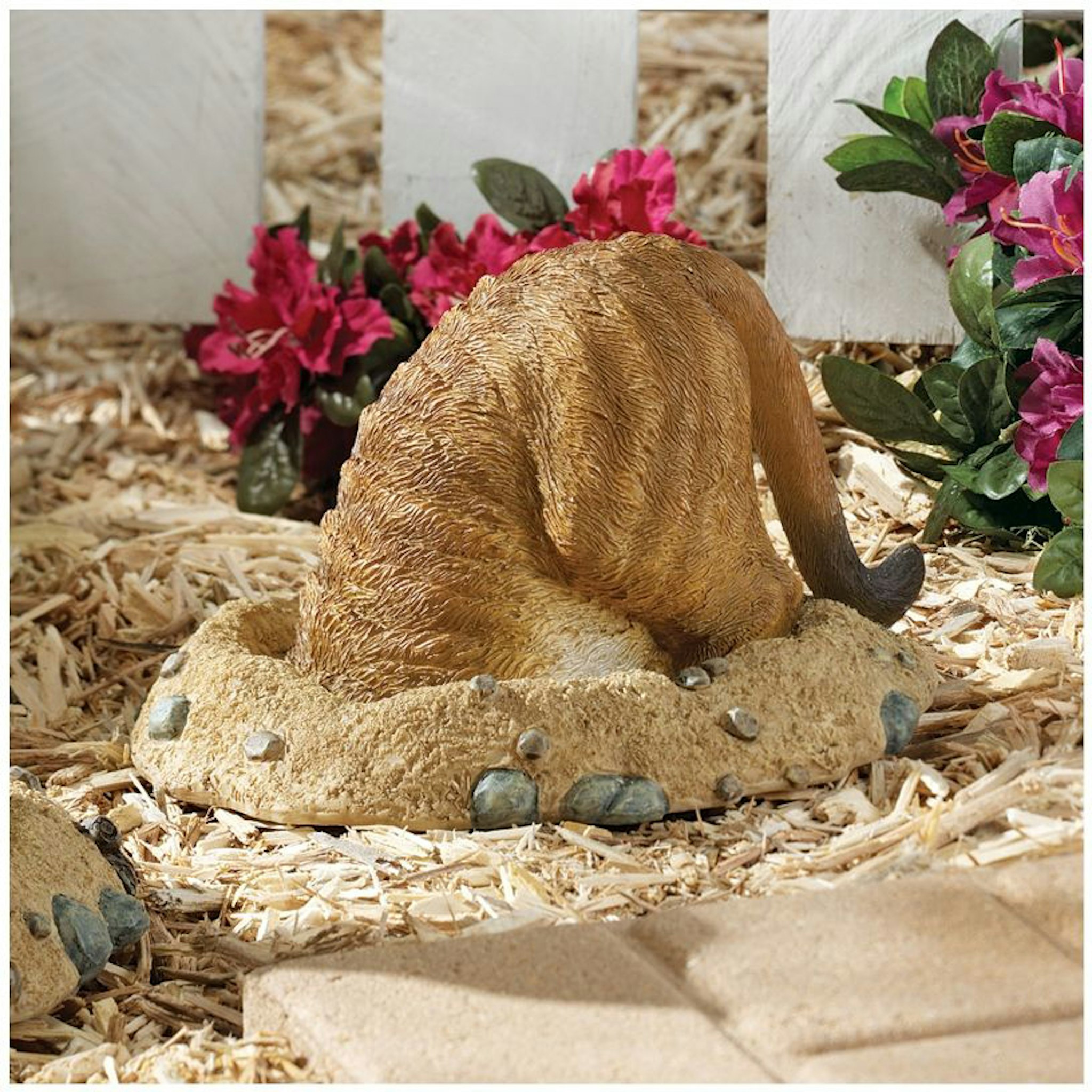 Toscano Kalahari Meerkat Statue - Into Hole