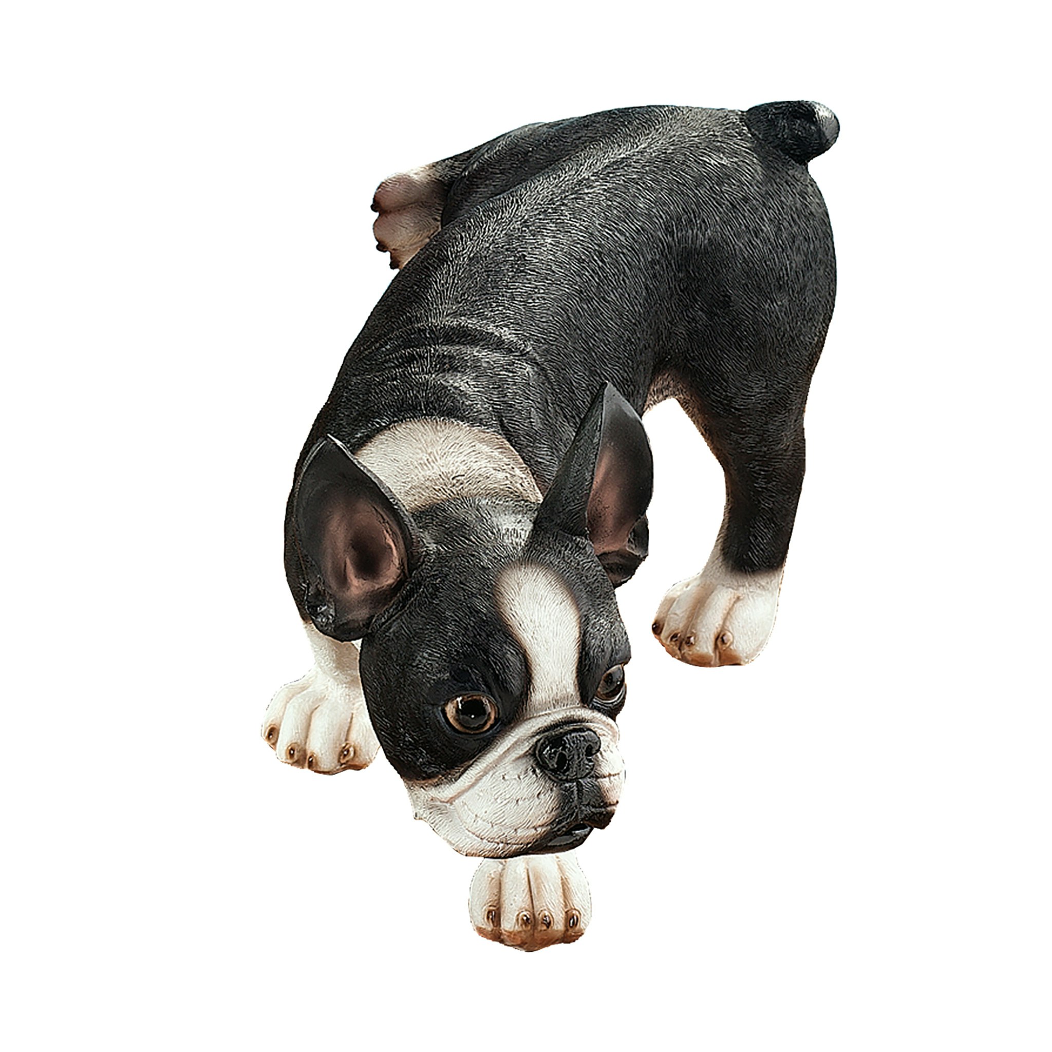 Toscano - Lifting a Leg Naughty Boston Terrier Dog Statue