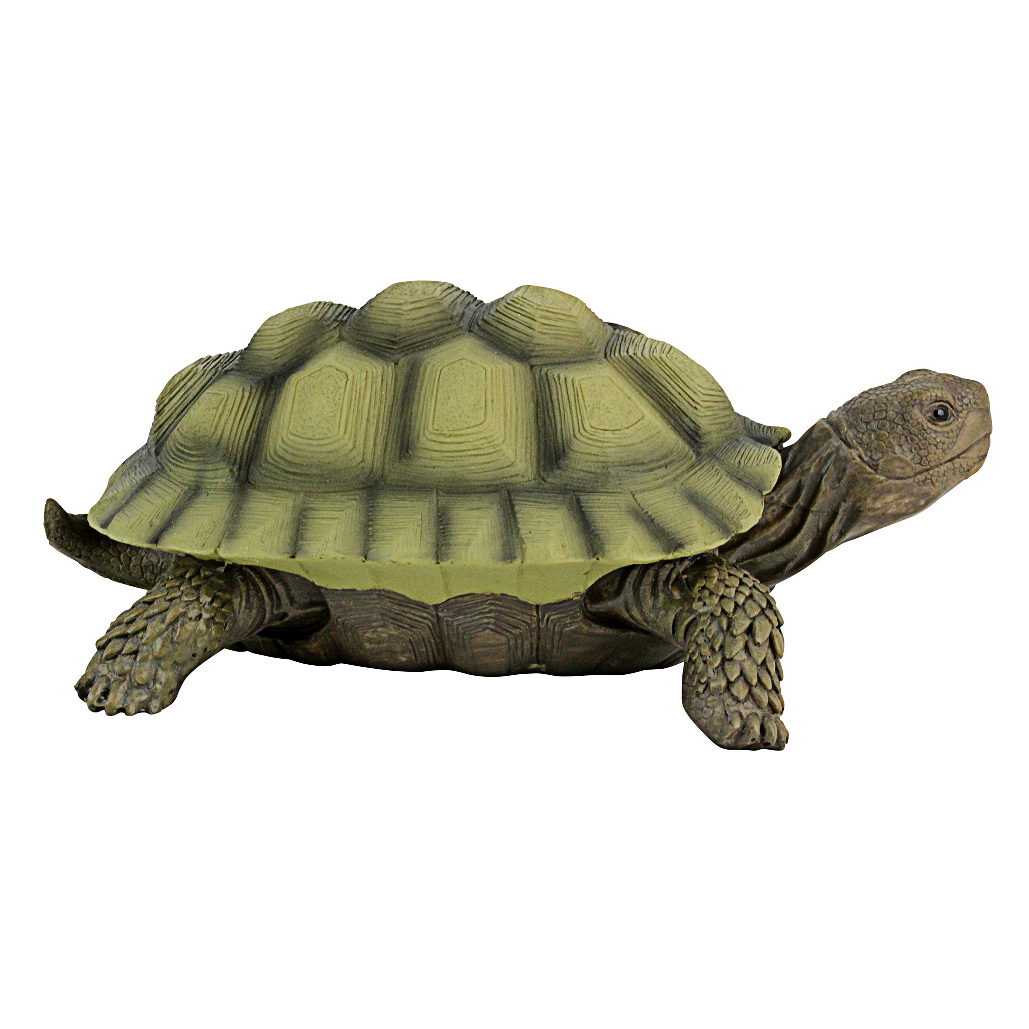 Toscano - Gilbert the Box Turtle Statue