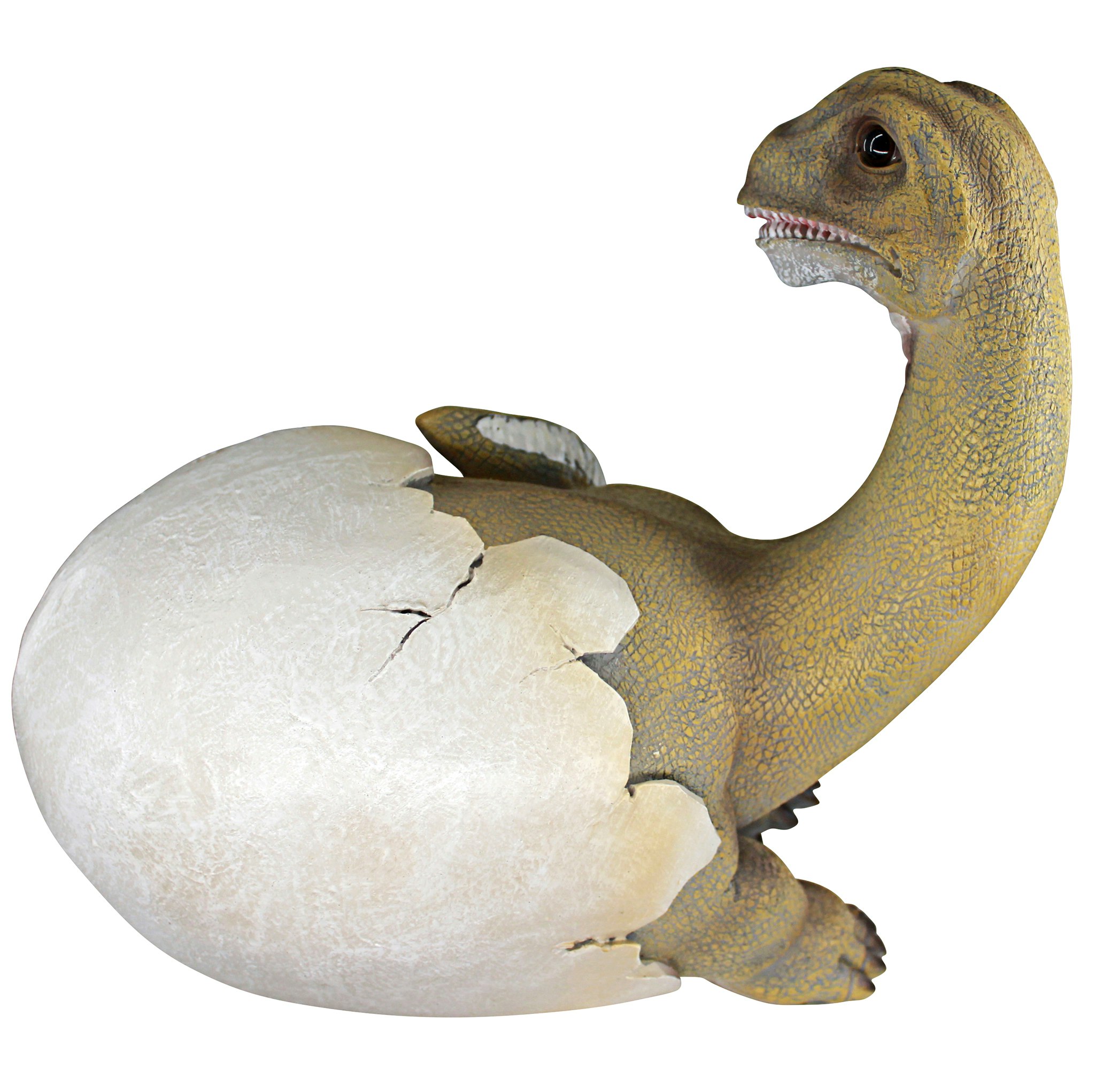 Toscano - Baby Brachiosaurus Dinosaur Egg Hatchling Statue