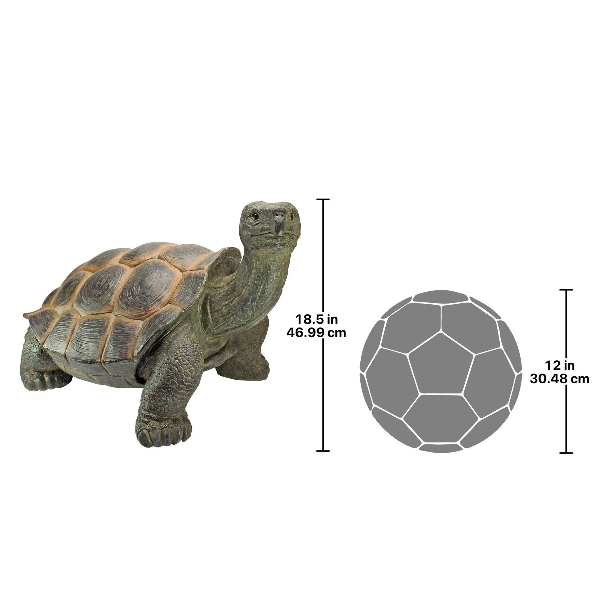 Toscano - The Curious Turtle Elephant Tortoise Statue