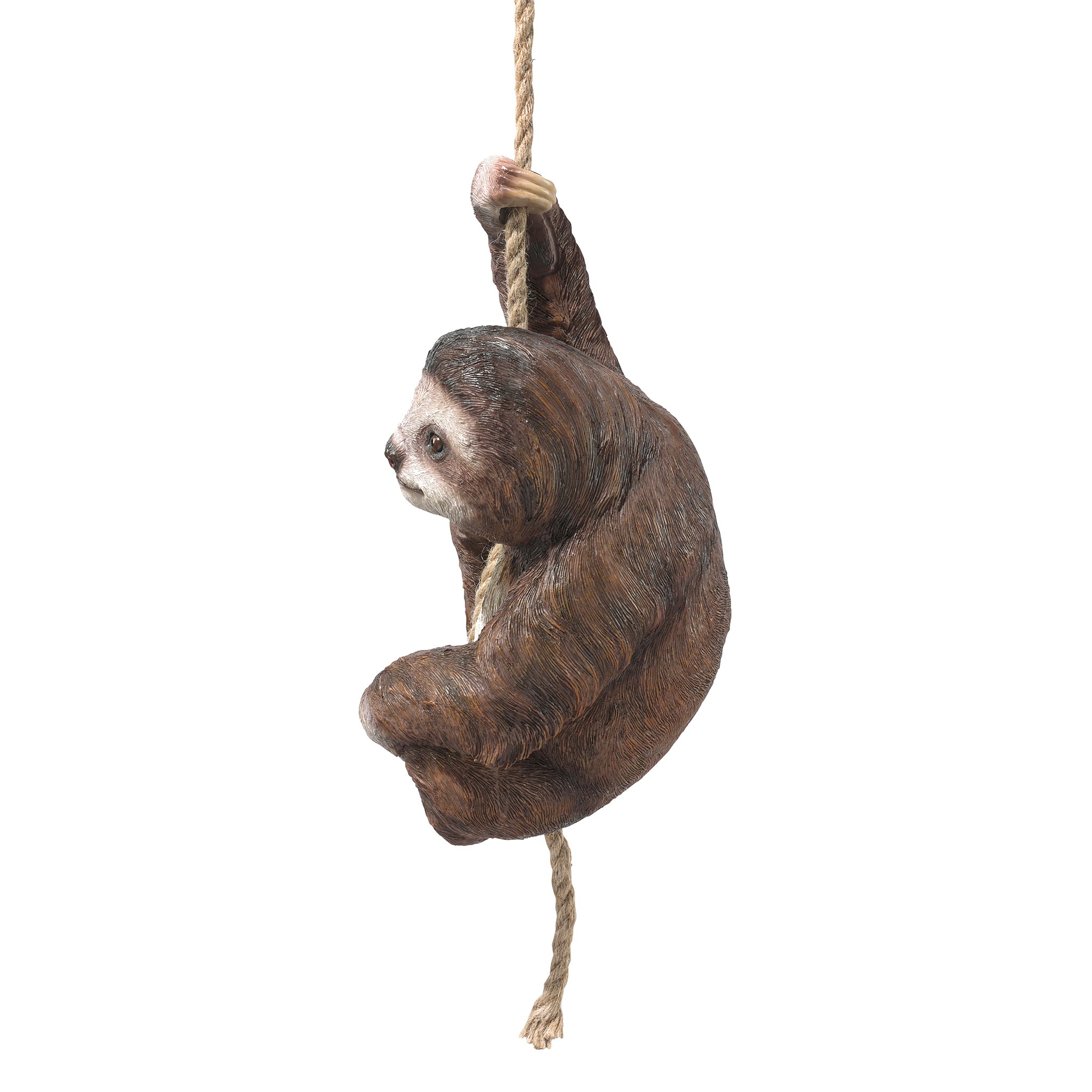 Toscano - Hanging Horatio the 3-Toed Sloth Statue