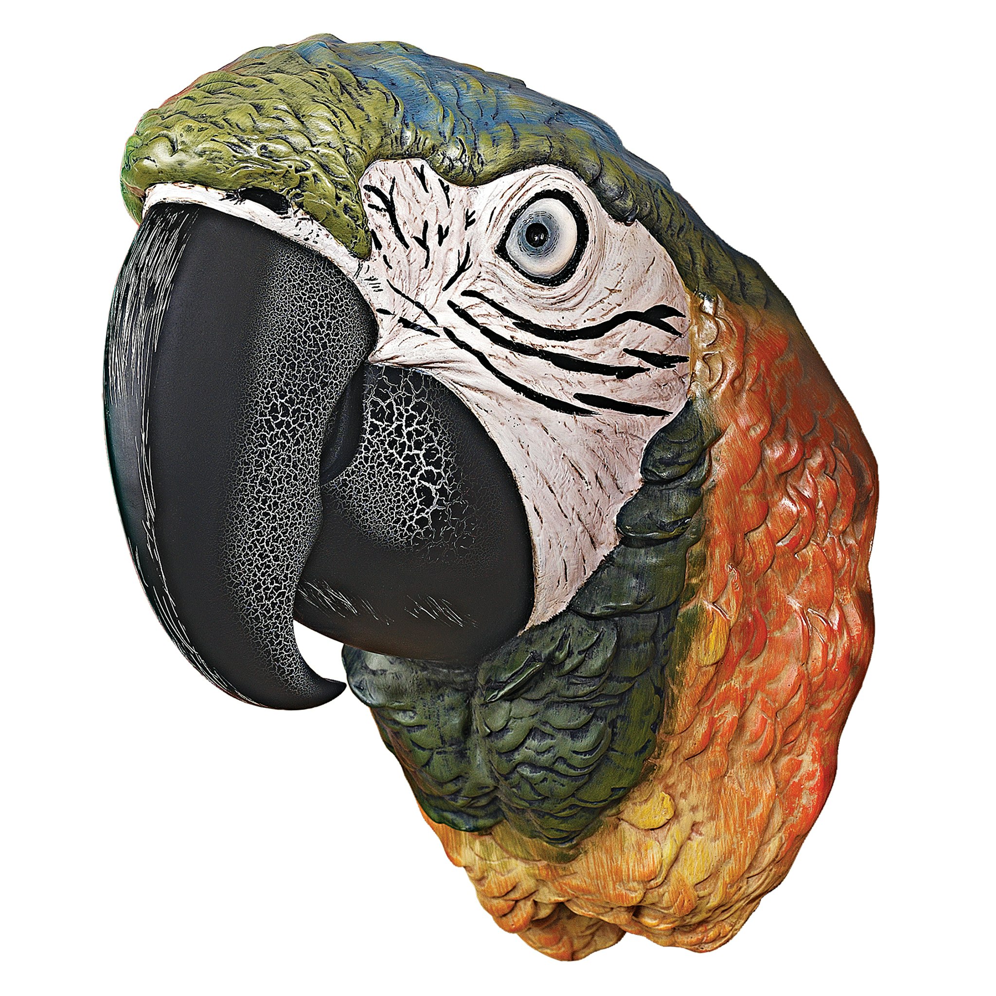 Toscano - Paradise Parrot Head Bird Wall Sculpture