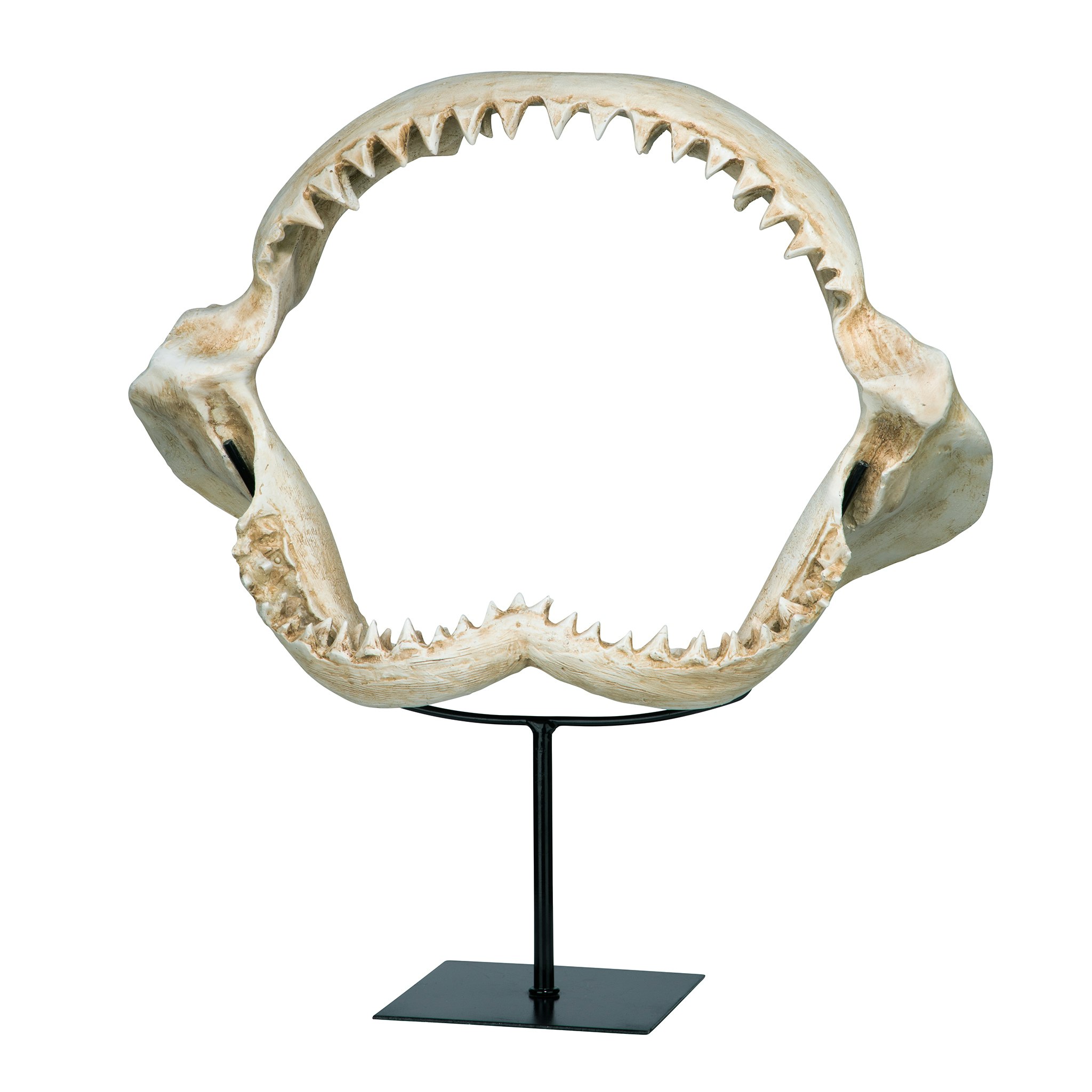 Toscano - Shark Jagged Jaws Statue