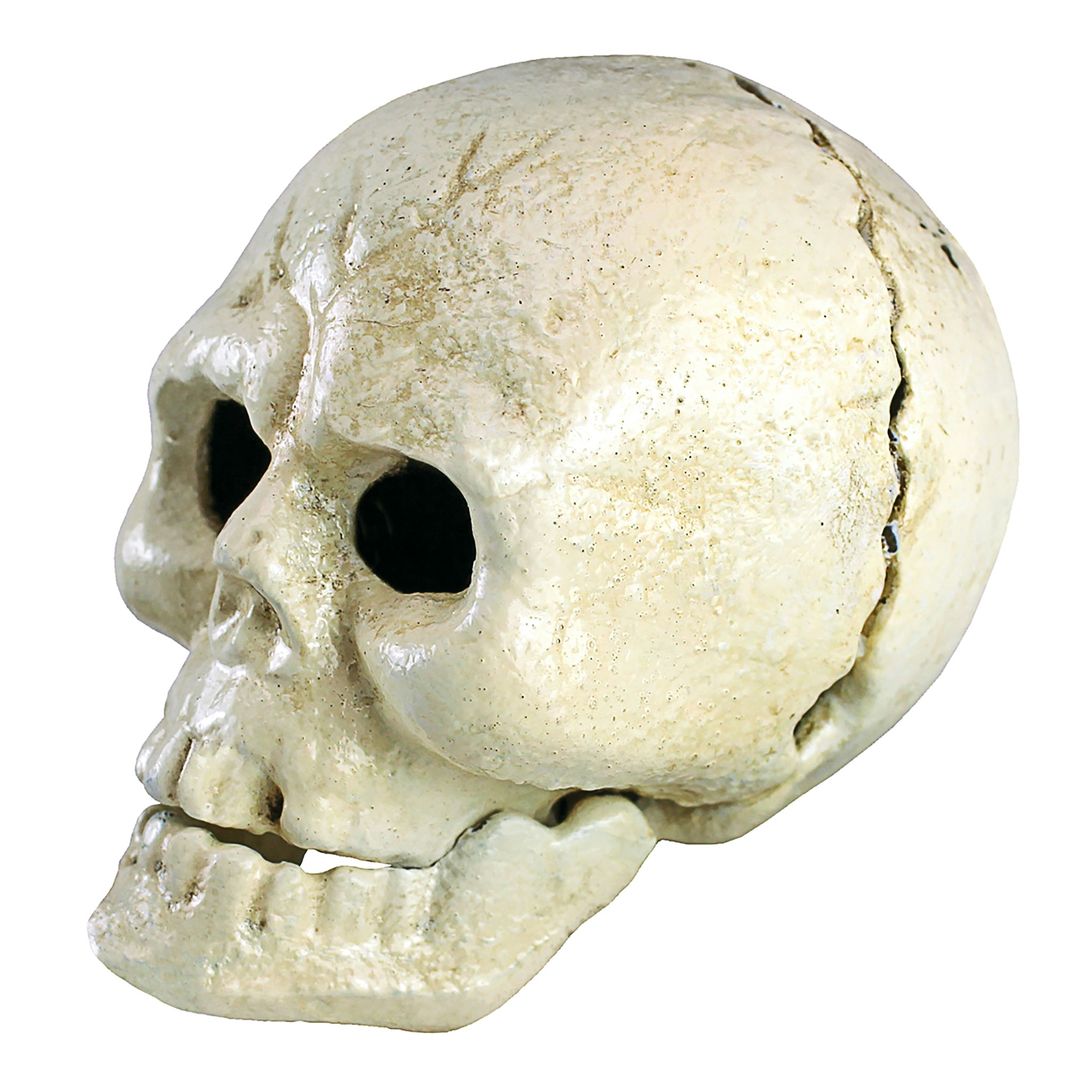 Toscano - Pop Your Top Skeleton Skull Bottle Opener