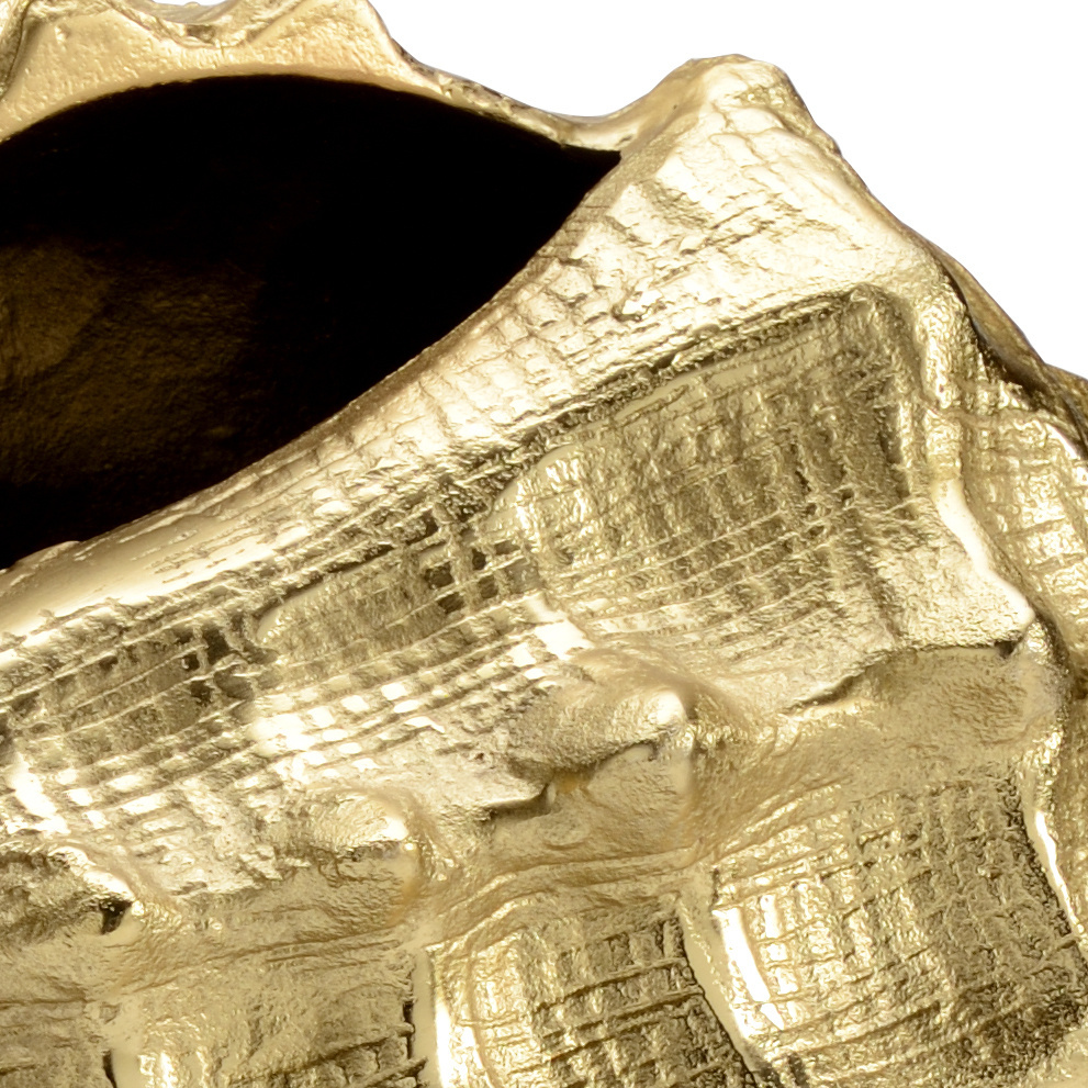 Wildwood - Conch in Gold