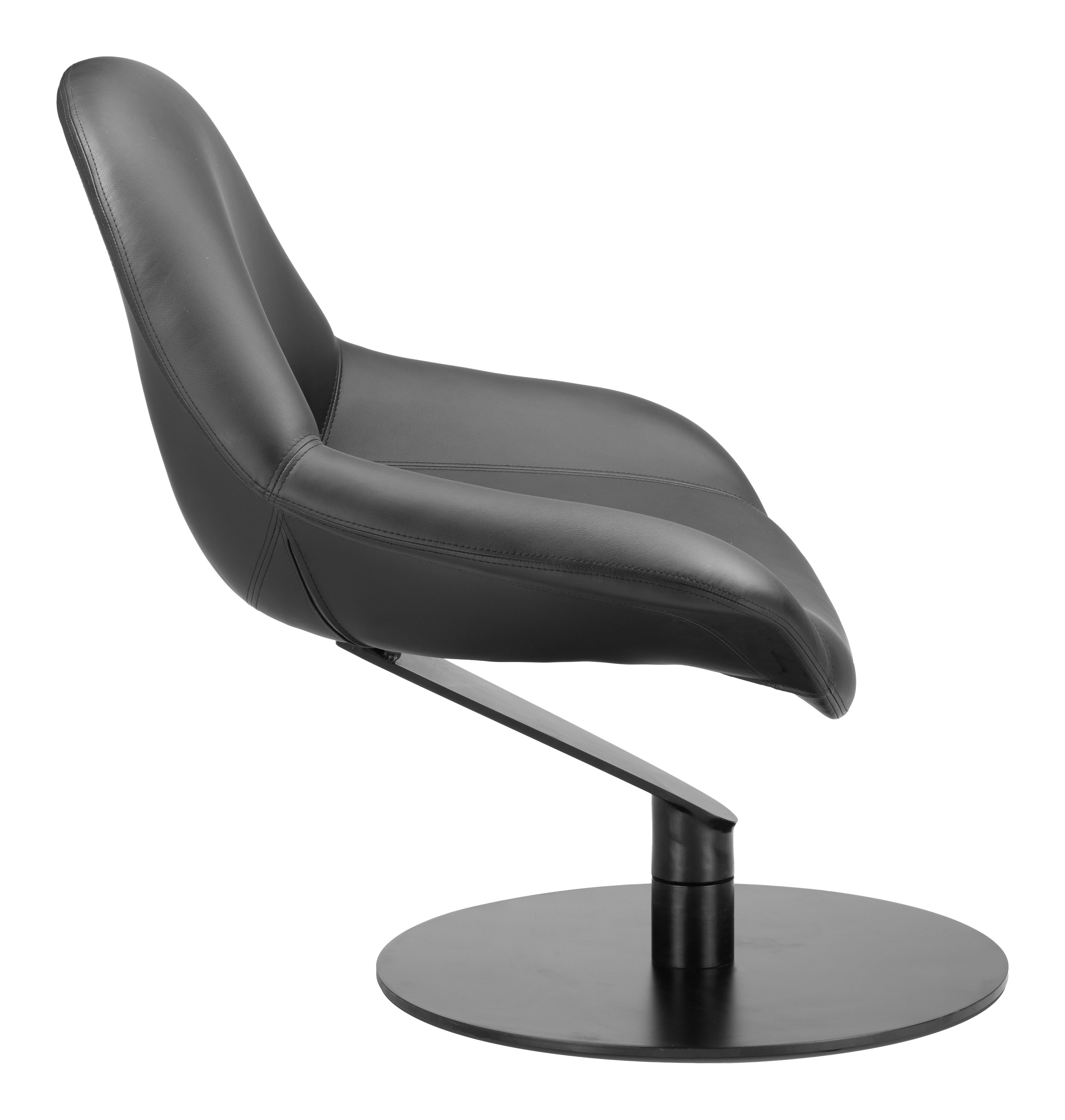 ZUO - Poole Accent Chair in Black