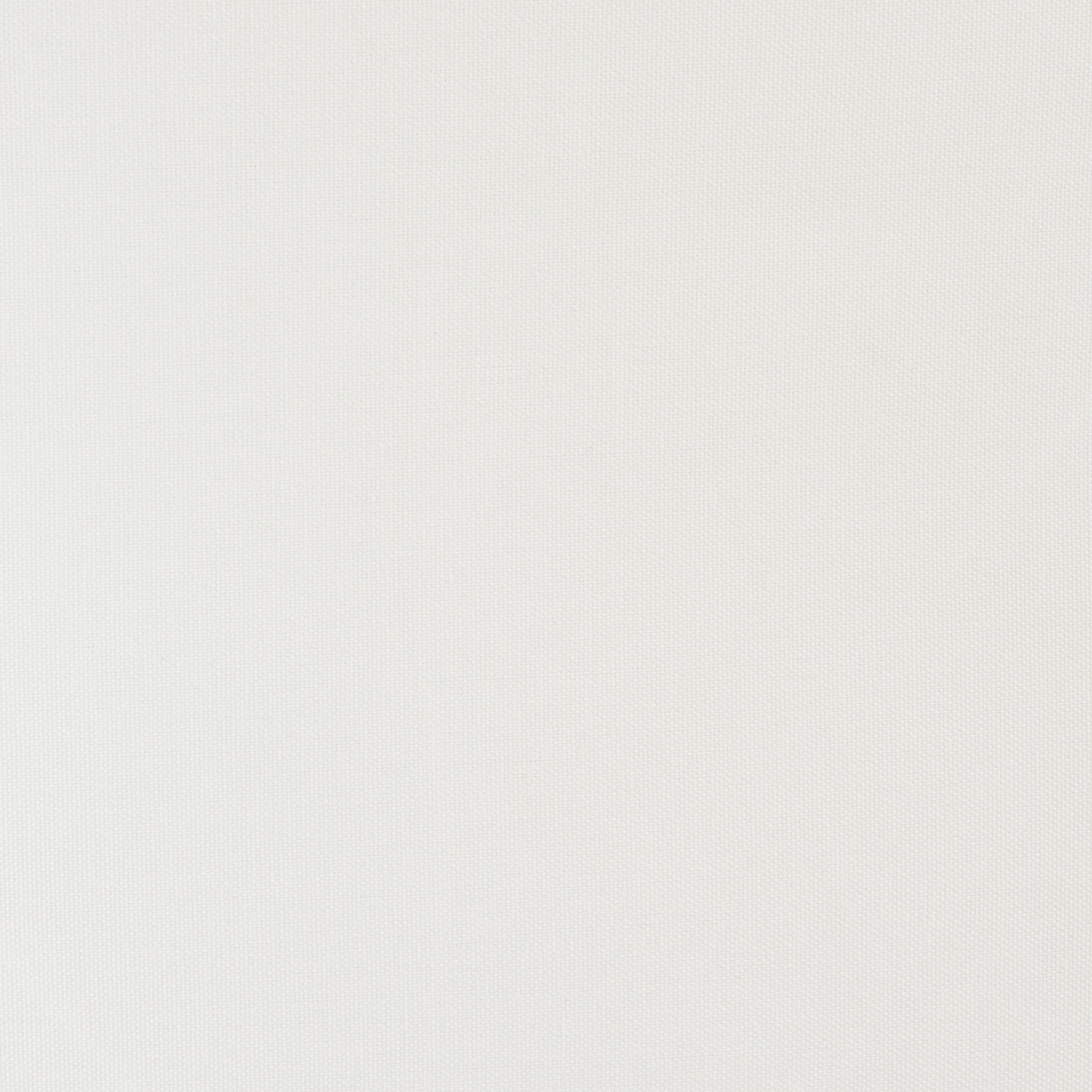 ZUO - Midnight Wave Barstool in White