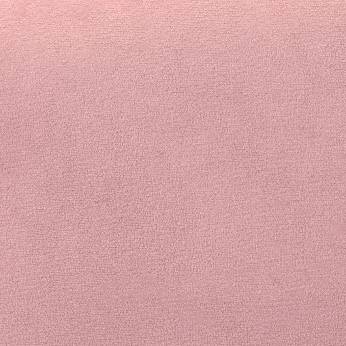 ZUO - Elia Accent Chair in Pink/Black