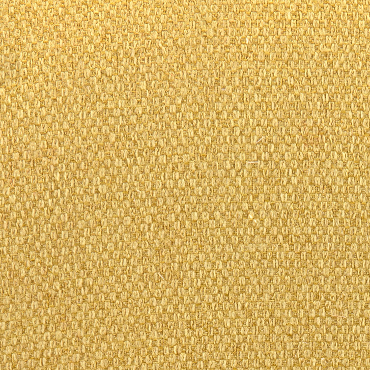 ZUO Var Counter Chair - Yellow/Black/Gold