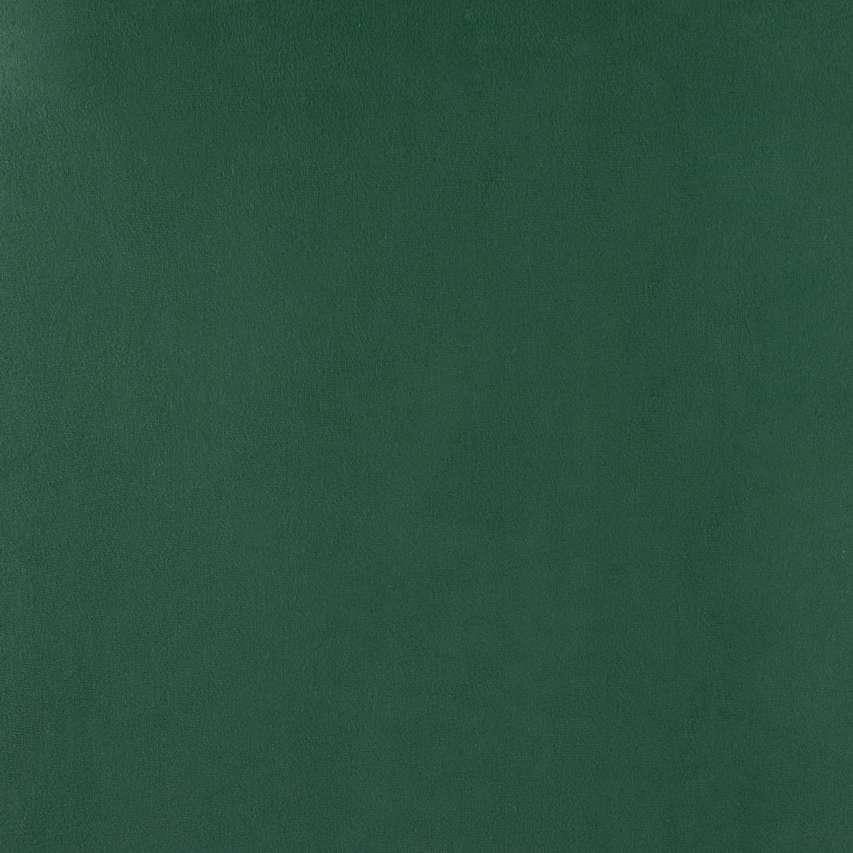 ZUO Ranier Accent Chair - Green/Matte Black