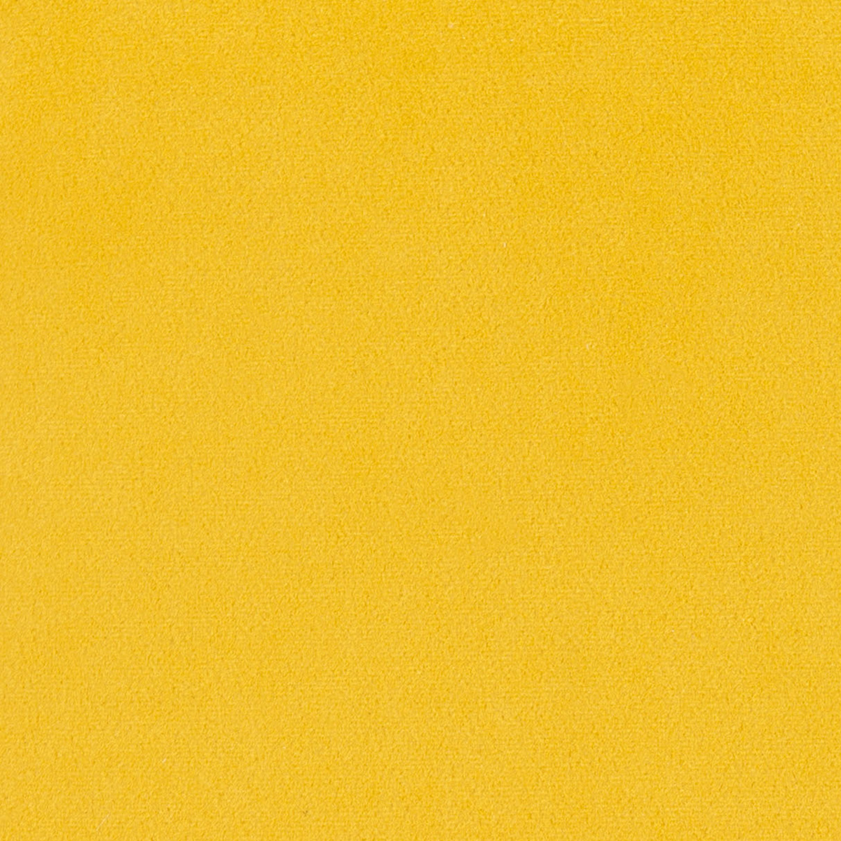 ZUO Jose Accent Chair - Yellow/Matte Black