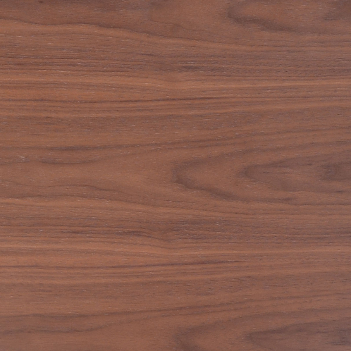 ZUO - Priest Lounge Chair in Walnut